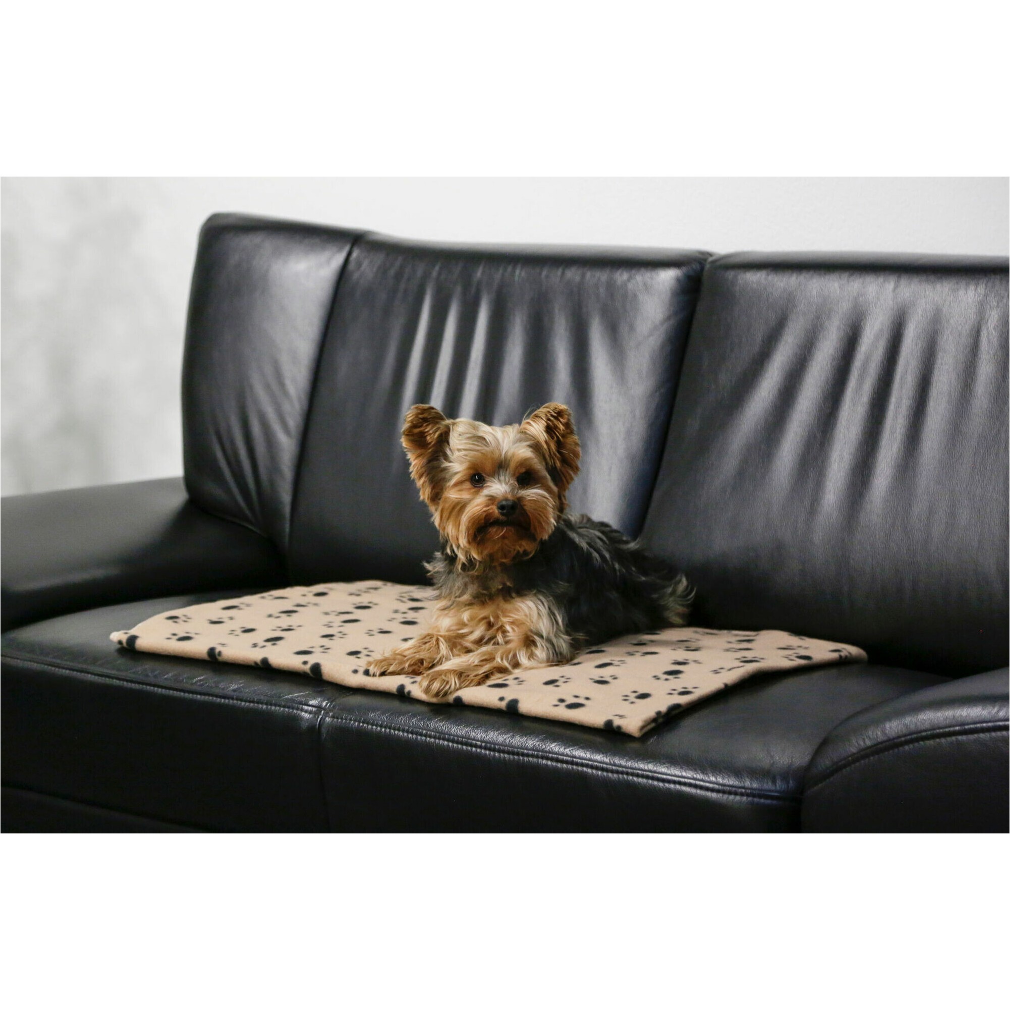 Hundedecke STELLA beige
