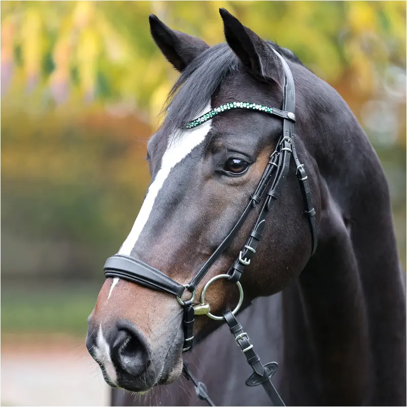 Stirnband SPARKLE schwarz/grün