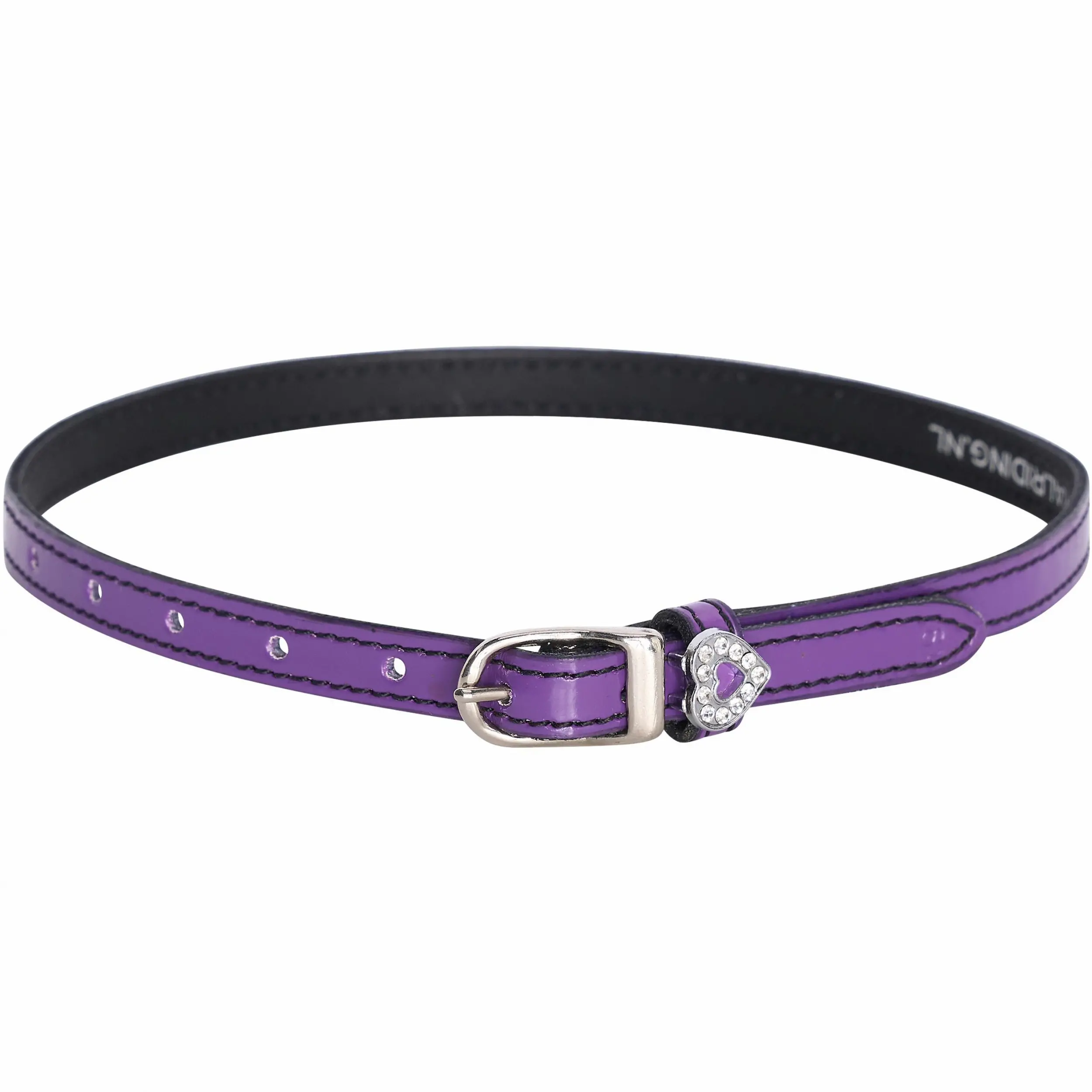 Sporenriemen IRHShiny purple