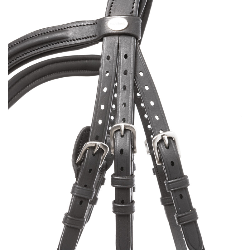 Trensenzaum hannoveranisch EVERANA Leder geölt schwarz