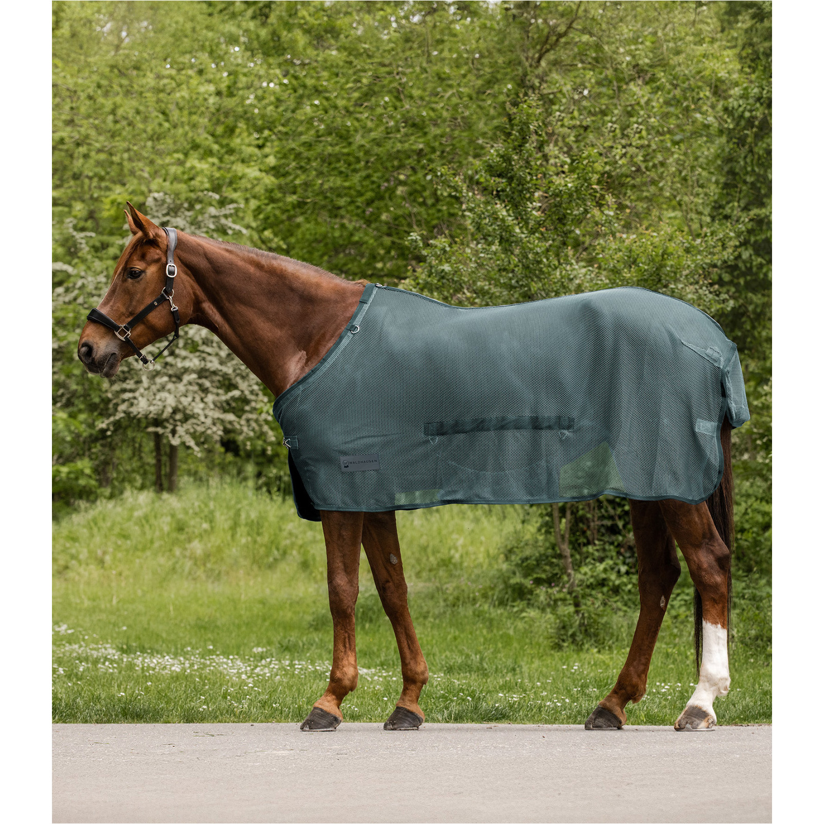 Fliegendecke mit Bauchlatz COMFORT piniengrün