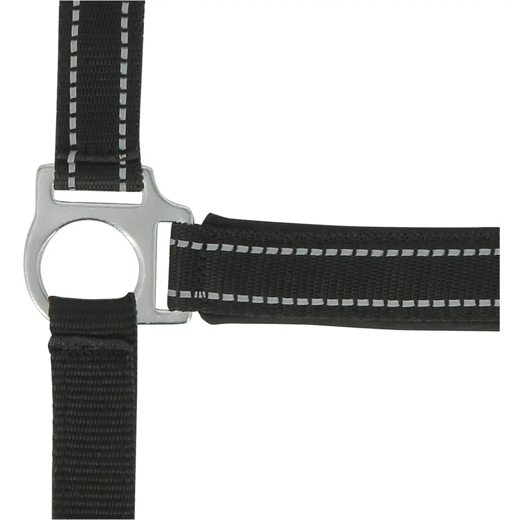 Halfter REFLECTIVE schwarz Halfter REFLECTIVE schwarz