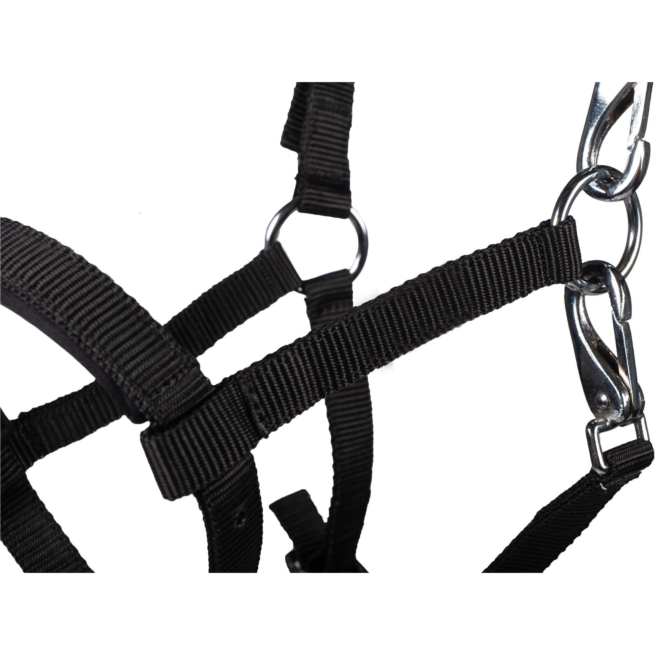 Fohlenhalfter MILLIE schwarz Fohlenhalfter MILLIE schwarz