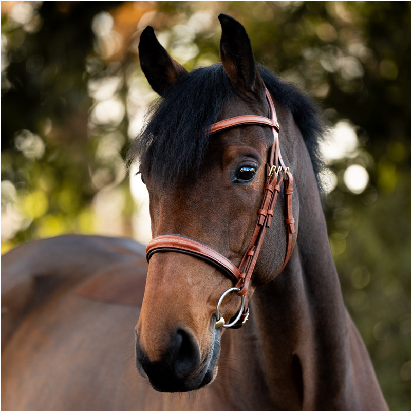 Springtrense englisch kombiniert ROBIN cognac/messing