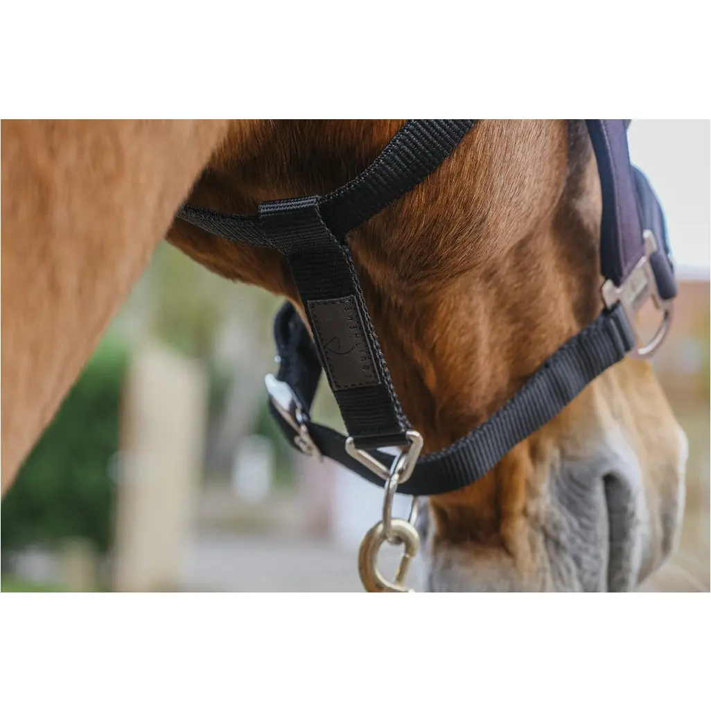 Nylonhalfter mit Strass DOMINO violett