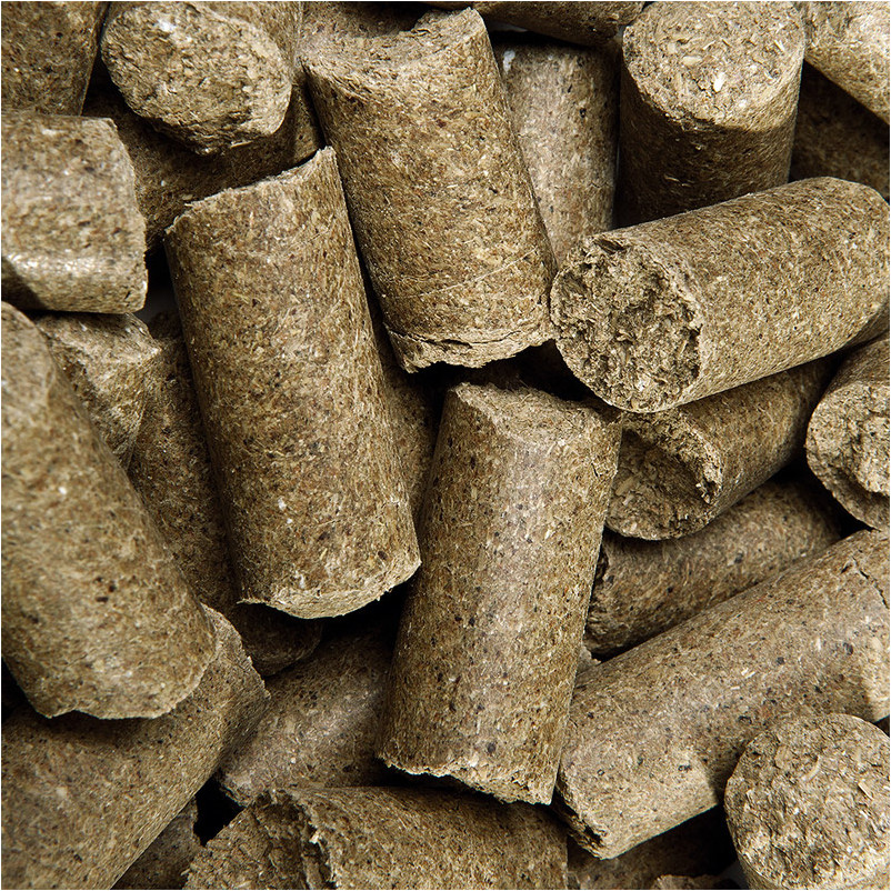 Leckerlies Delicious Speedies PURE APPLE