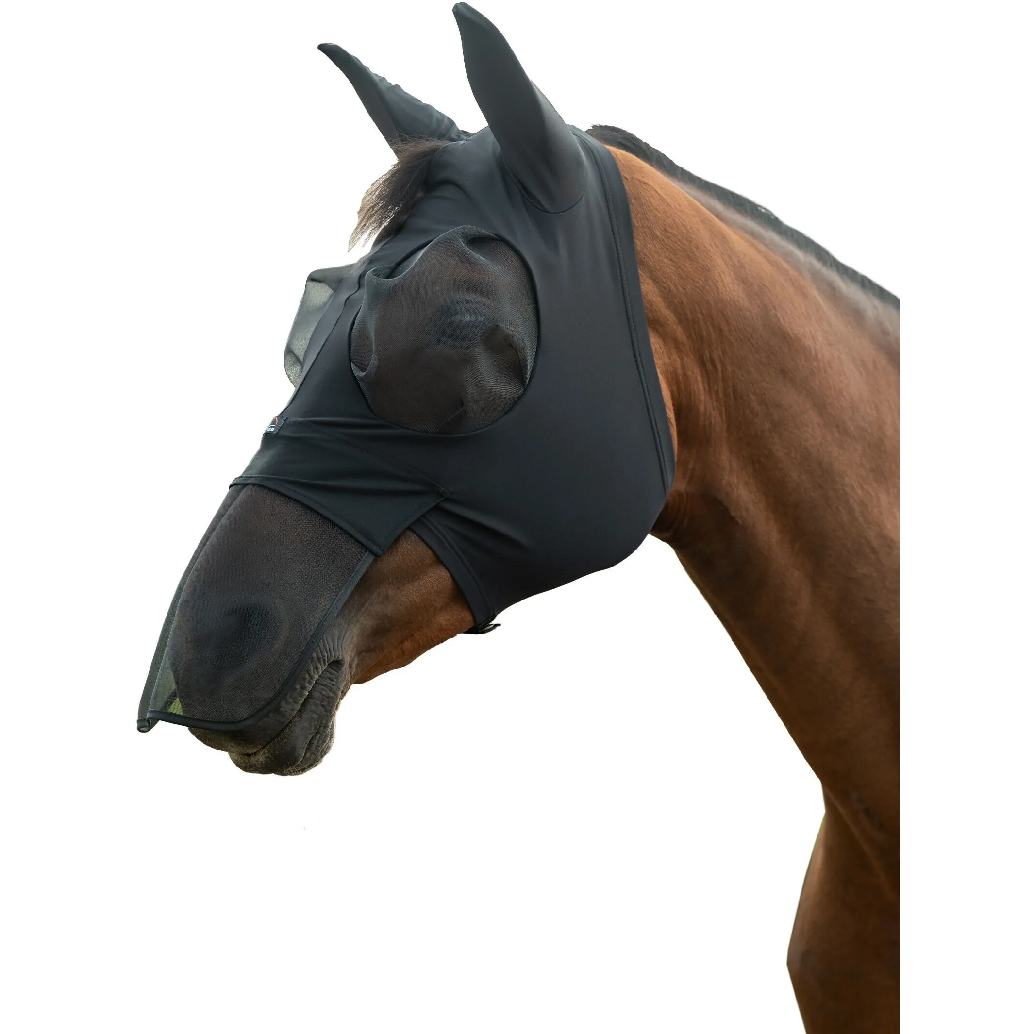 schwarz