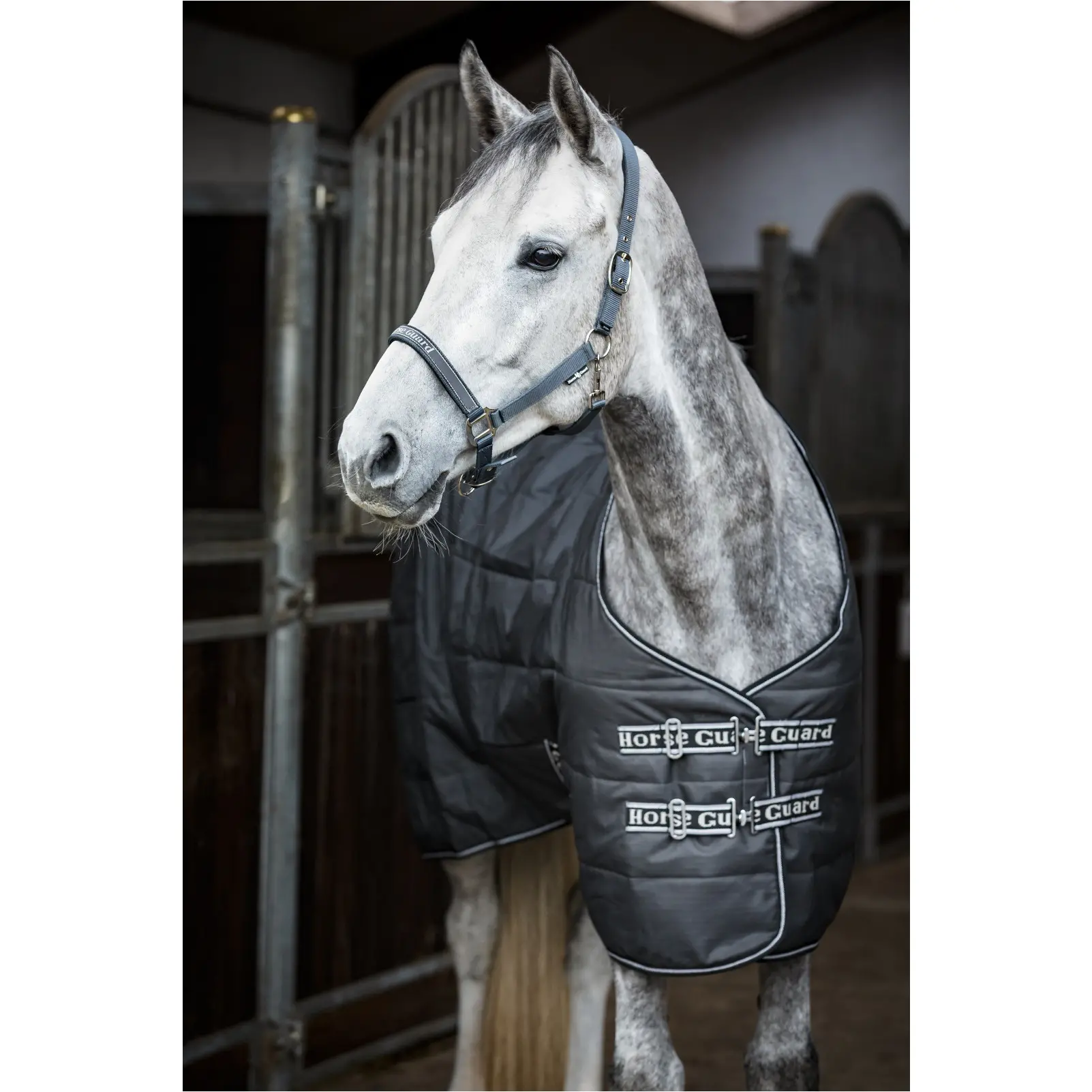 Stalldecke 100g Füllung SOPHIE asphalt Stalldecke 100g Füllung SOPHIE asphalt