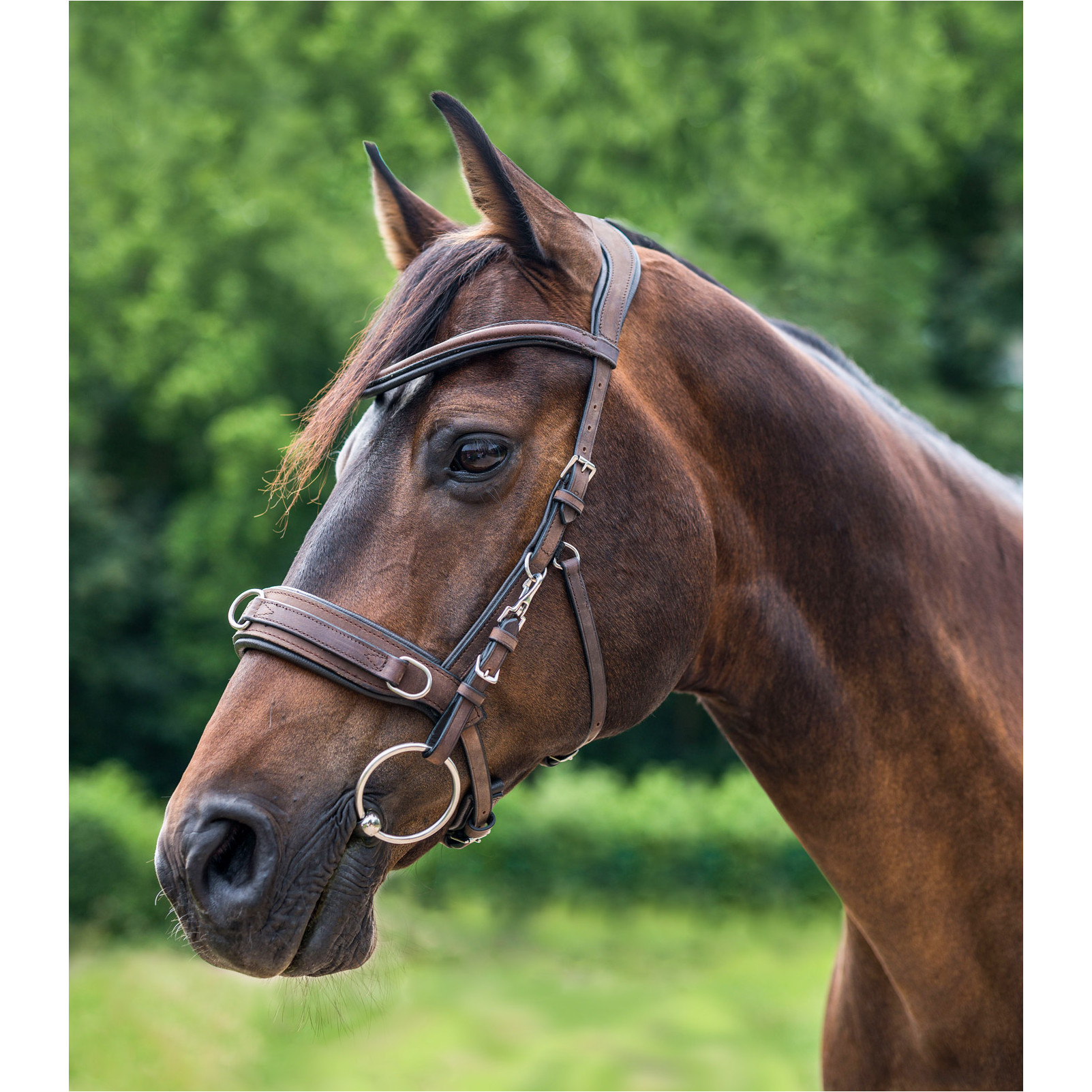 Kappzaum ANATOMIC Echtleder braun