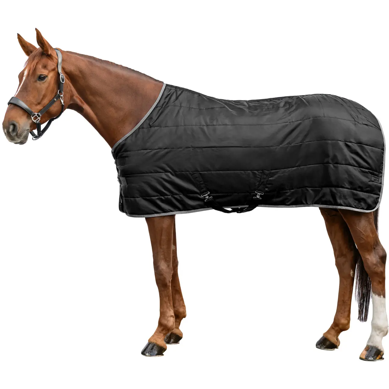 Stalldecke 100g Füllung 420D ECONOMIC schwarz