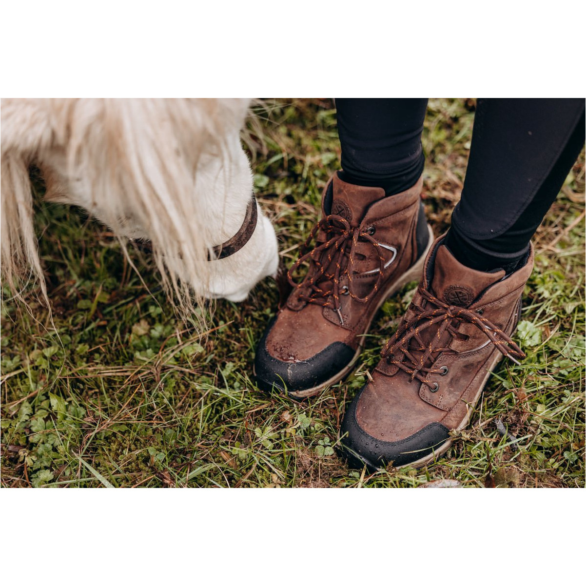 Stiefeletten FIELD LACE GripFTX chocolate