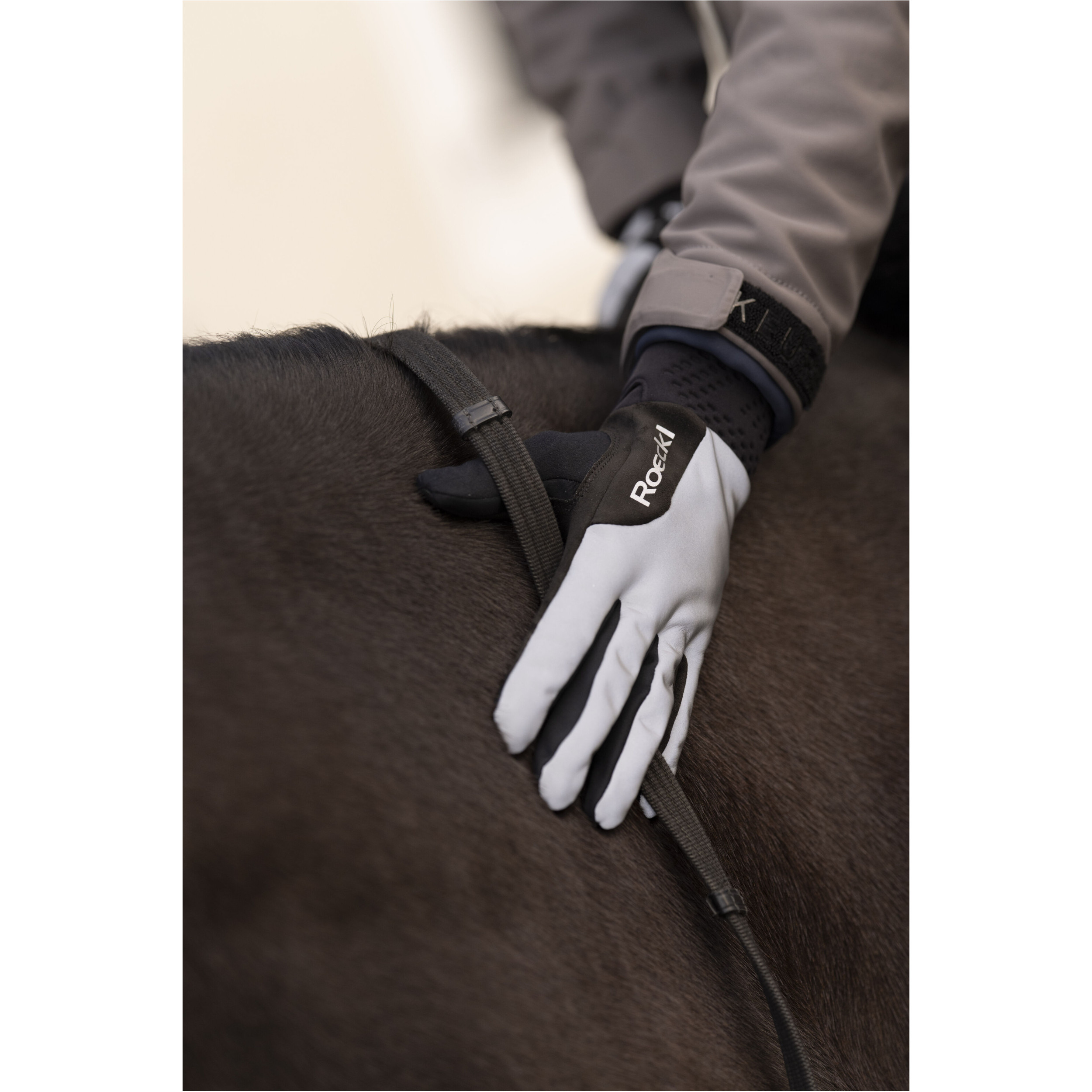 Winter Reithandschuhe WOLFACH silver reflect