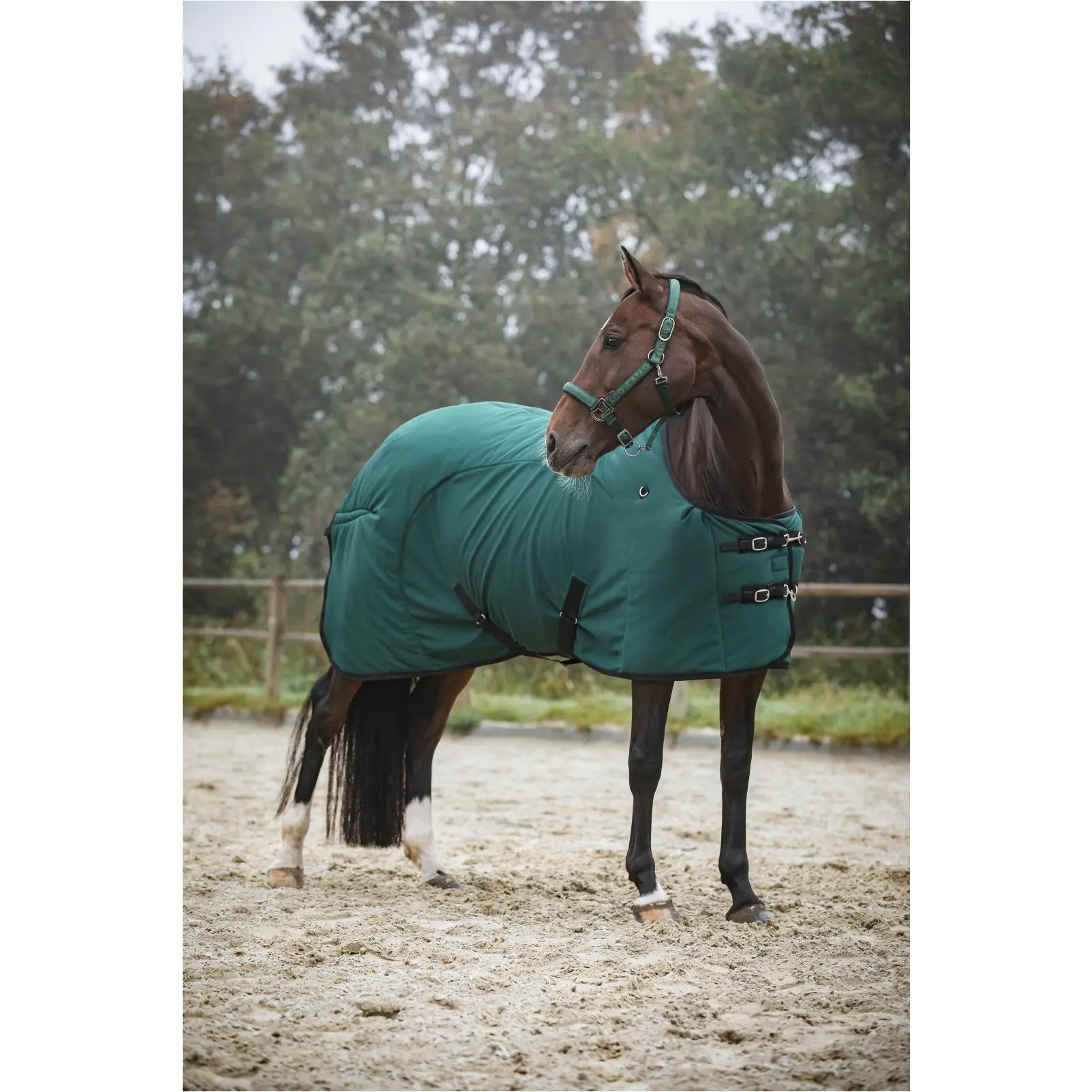 Decke FIR-Tech ponderosa pine