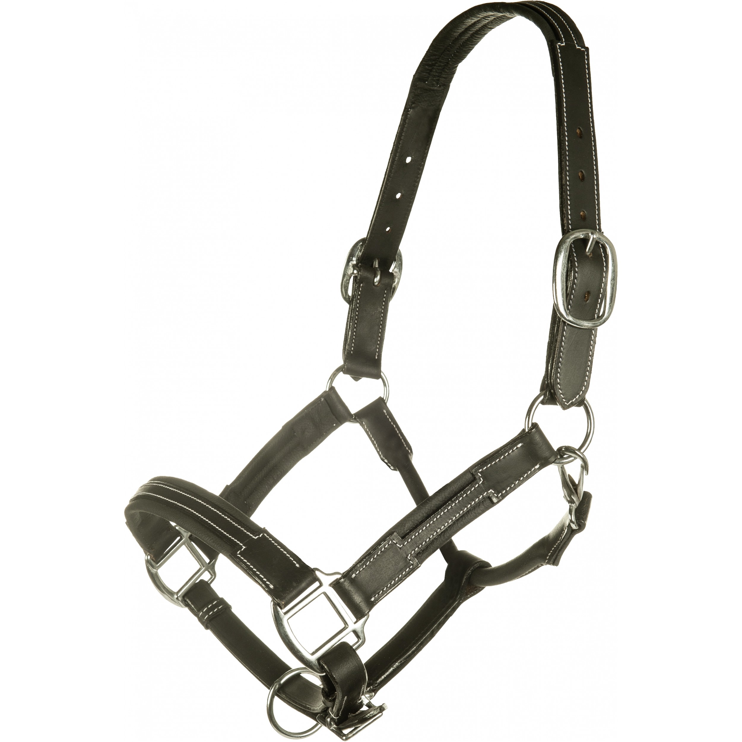 Lederhalfter SOFT schwarz