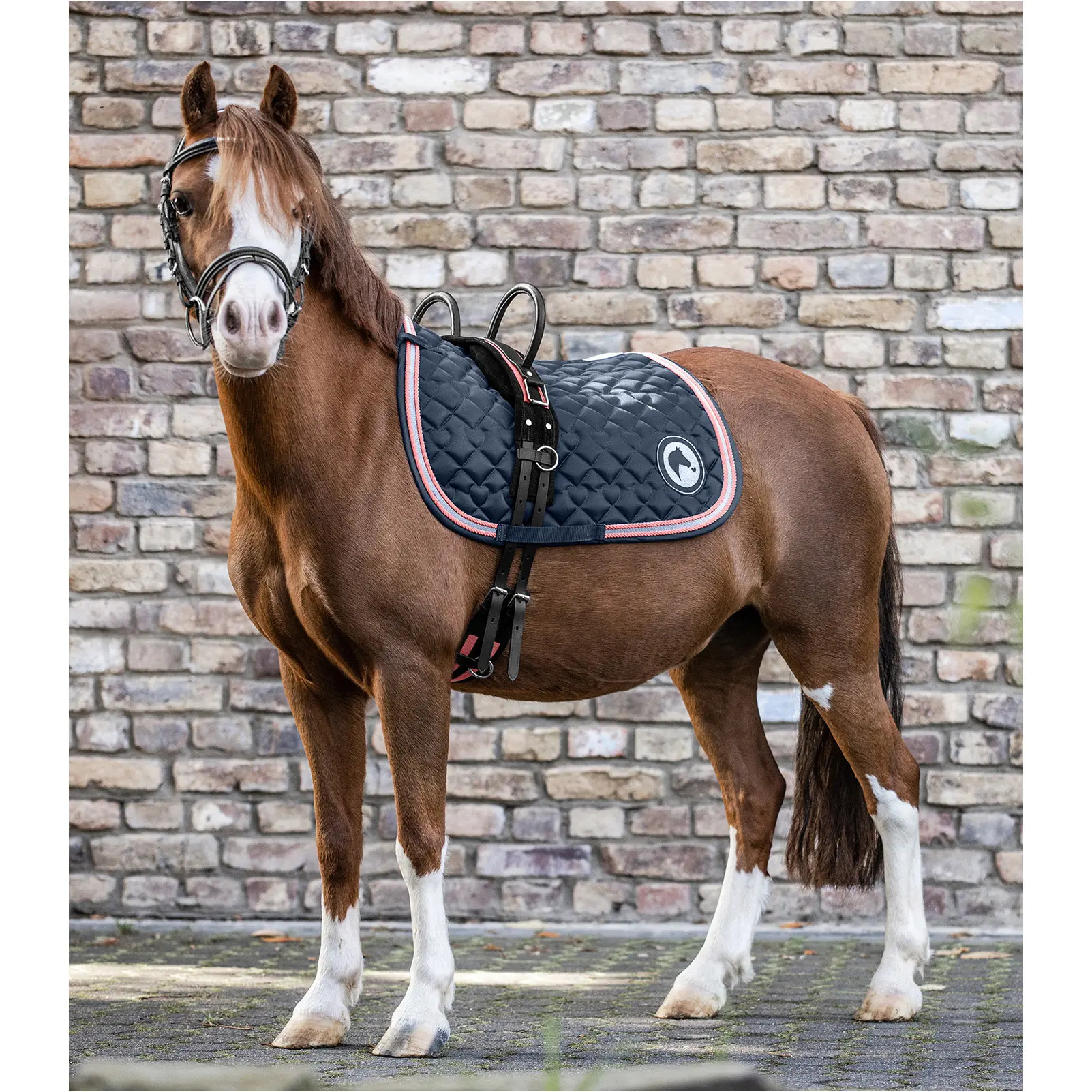 Longiergurt mit zwei Handgriffen schwarz/rosarot