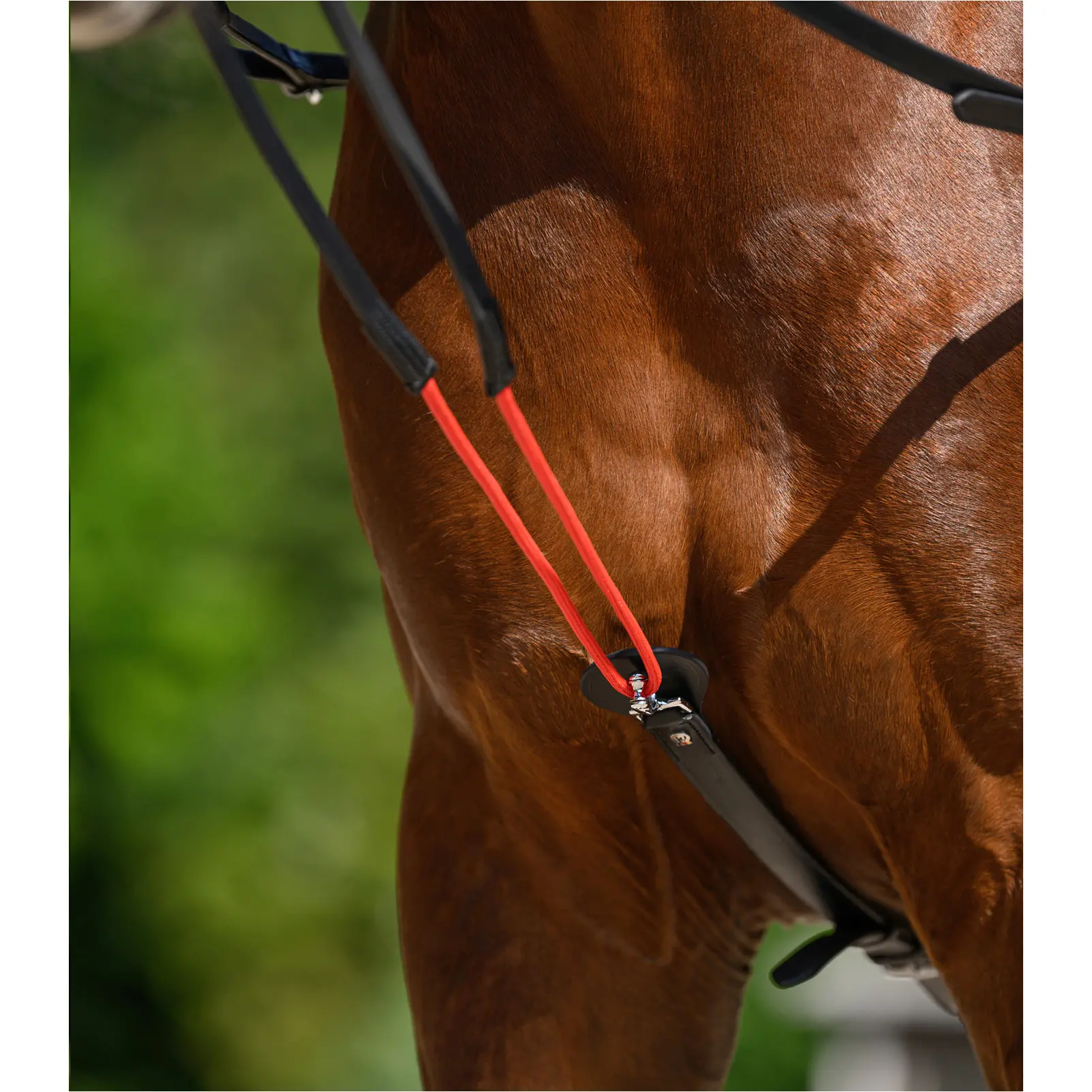 Dreieckszügel TRAINREIN Leder schwarz