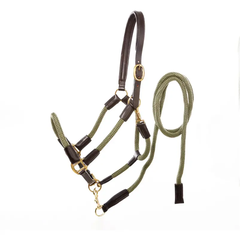 braun/khaki grün