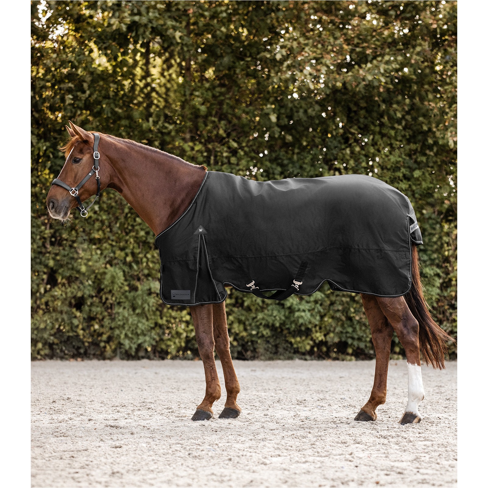 Outdoordecke 100g Füllung 600D ARCTIC schwarz