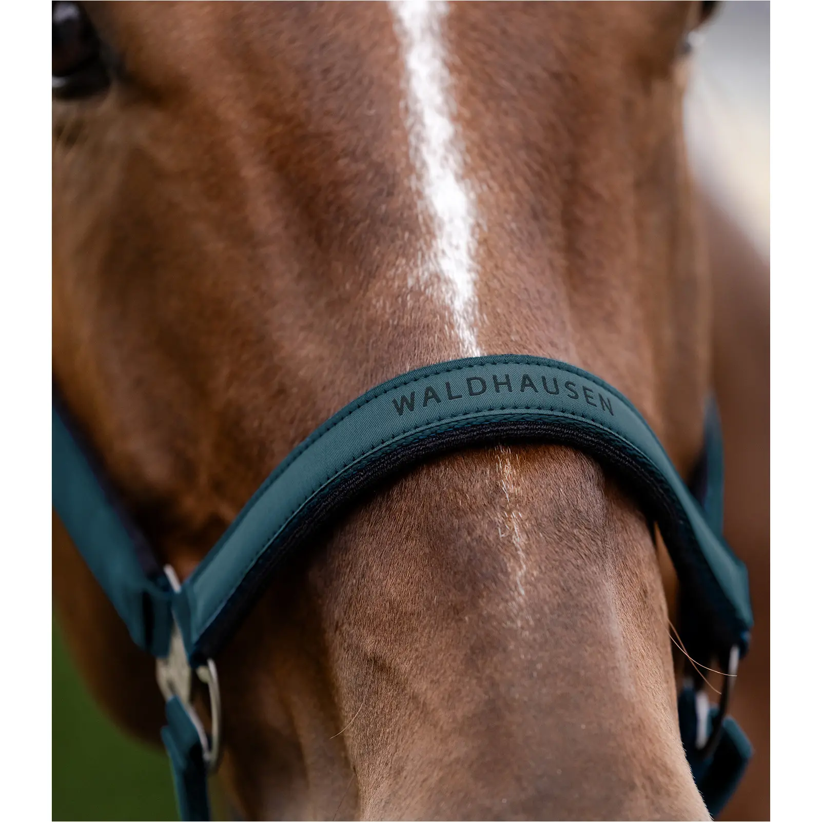 Halfter ATHLETIC petrolblau