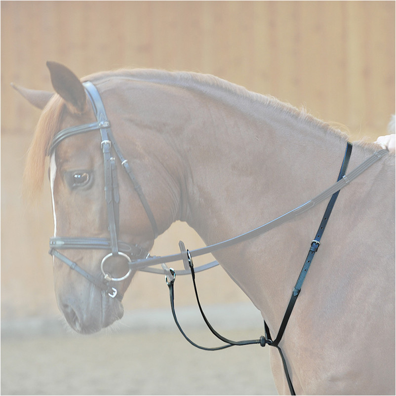 Martingal mit Stopper ECOLINE schwarz