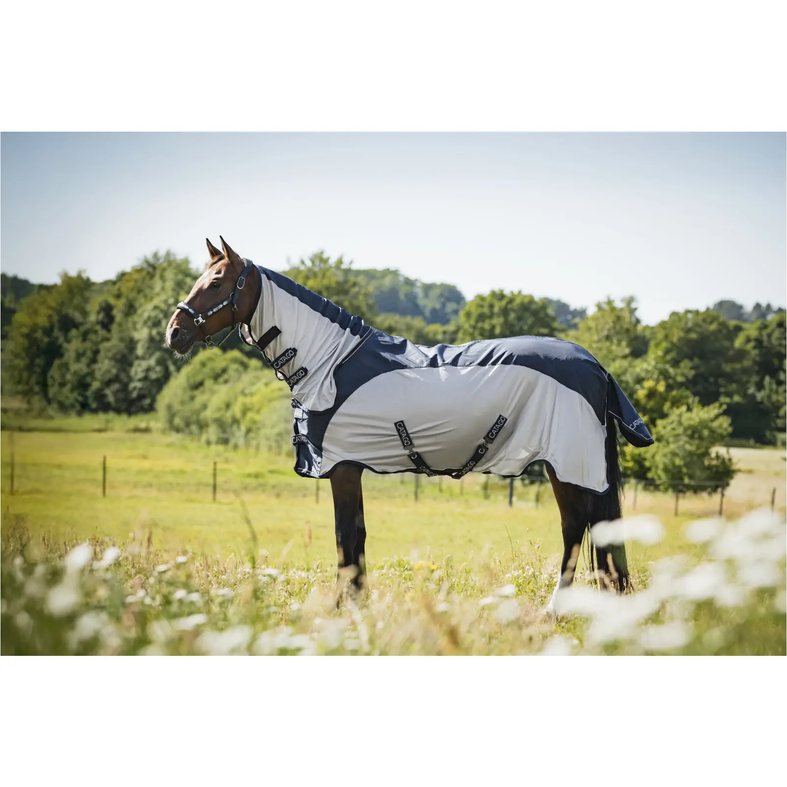 Regen- und Fliegendecke TAYLIN navy