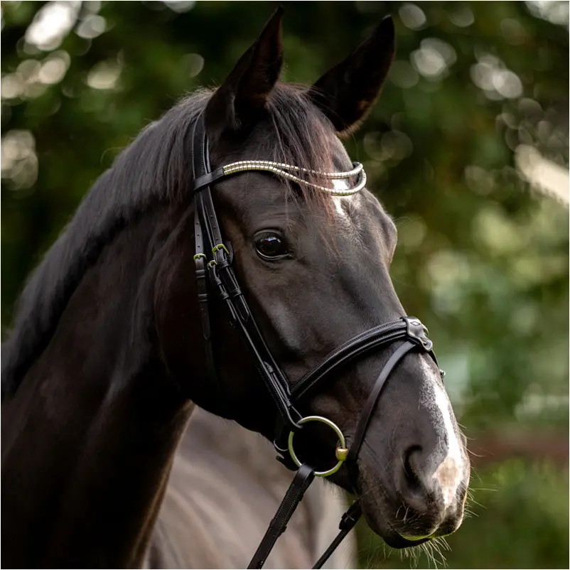 Stirnband CLINCHER DUO schwarz/grau