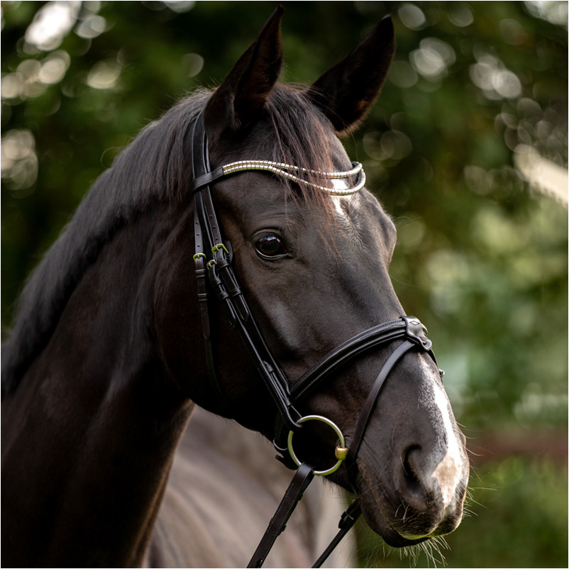 Stirnband CLINCHER DUO schwarz/grau