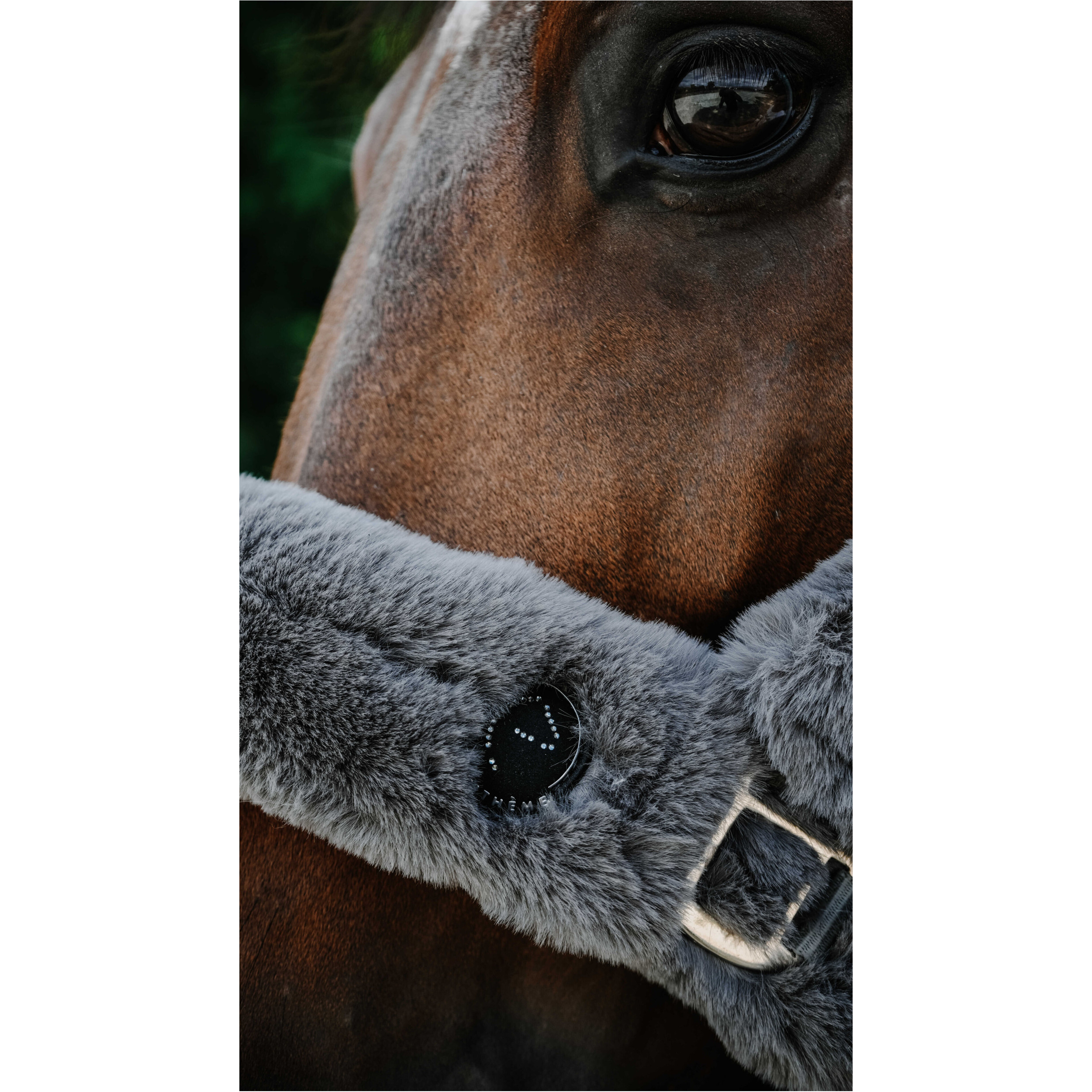 Halfter Je t'aime SNUGGY grau Halfter Je t'aime SNUGGY grau