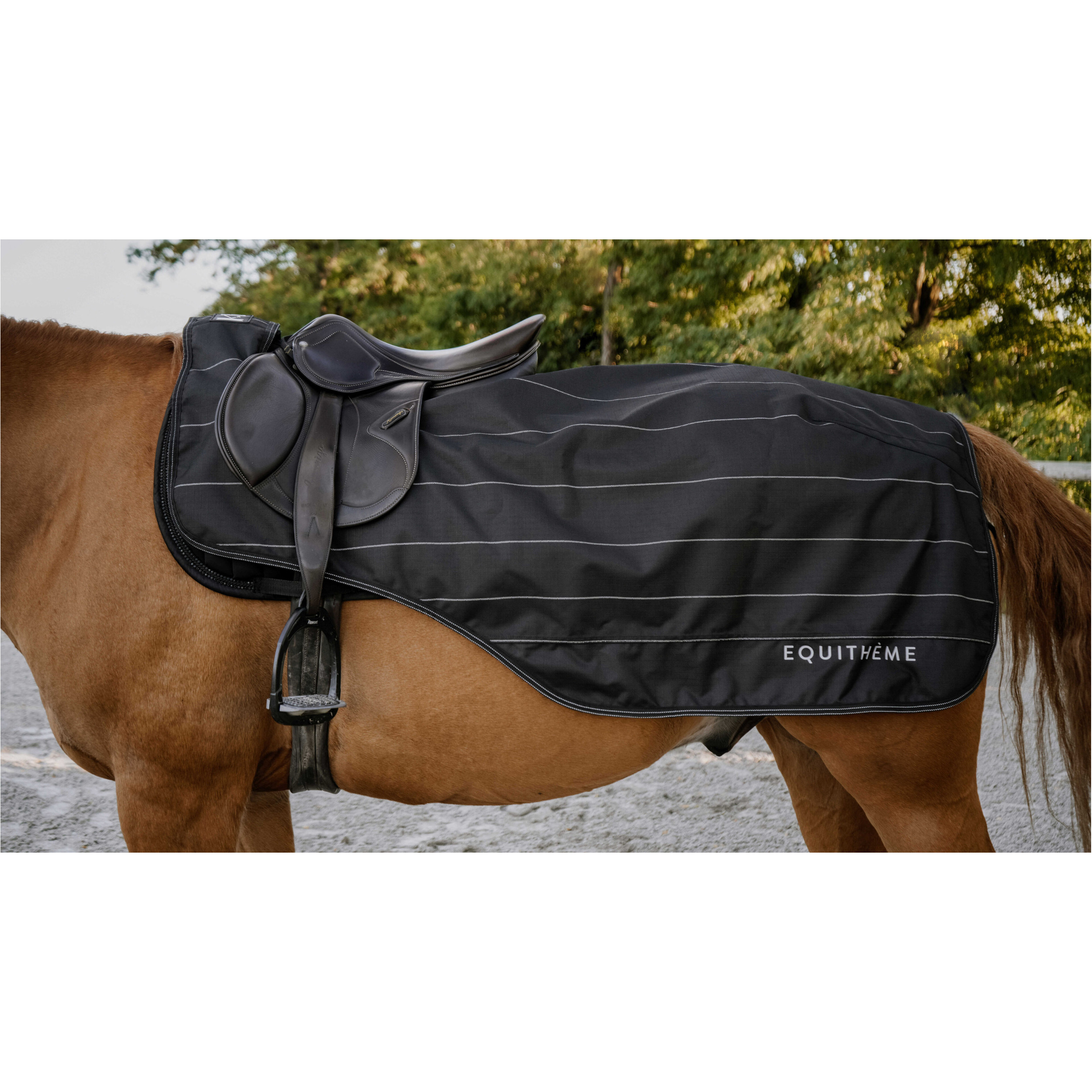 Nierendecke reflektierend 600D TYREX Lumin schwarz