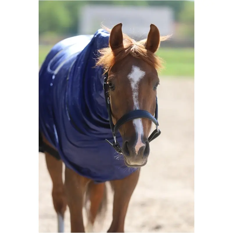 Halfter Soft COMFORT Leder schwarz