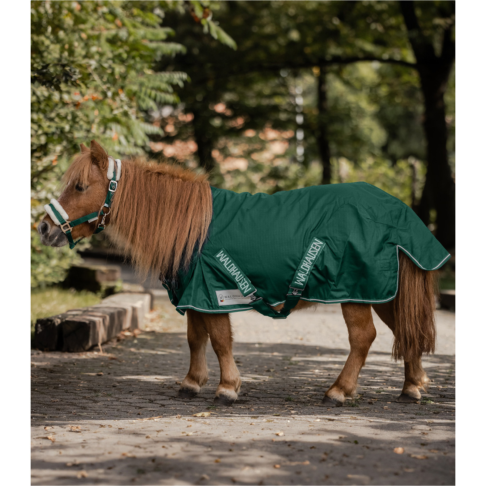 Shetty-Regendecke 100g Füllung 600D COMFORT tannengrün