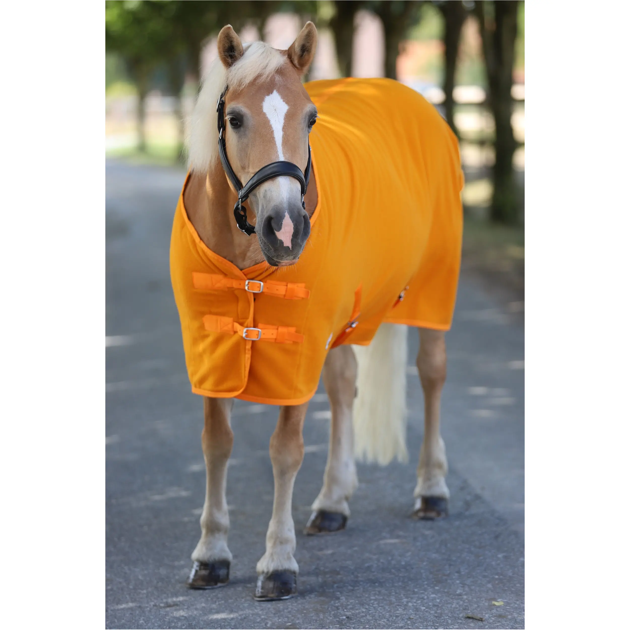 Abschwitzdecke mit Kreuzgurt BASICLINE rost Abschwitzdecke mit Kreuzgurt BASICLINE rost