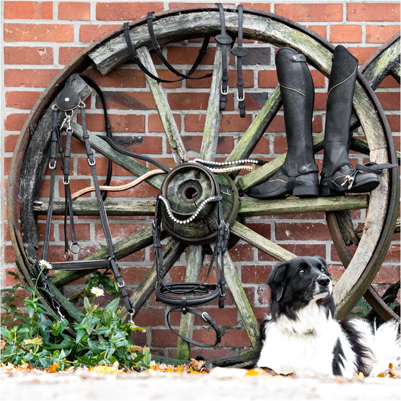 Stirnband CORTICA STRASS Vegan Kork natur/weiß Stirnband CORTICA STRASS Vegan Kork natur/weiß