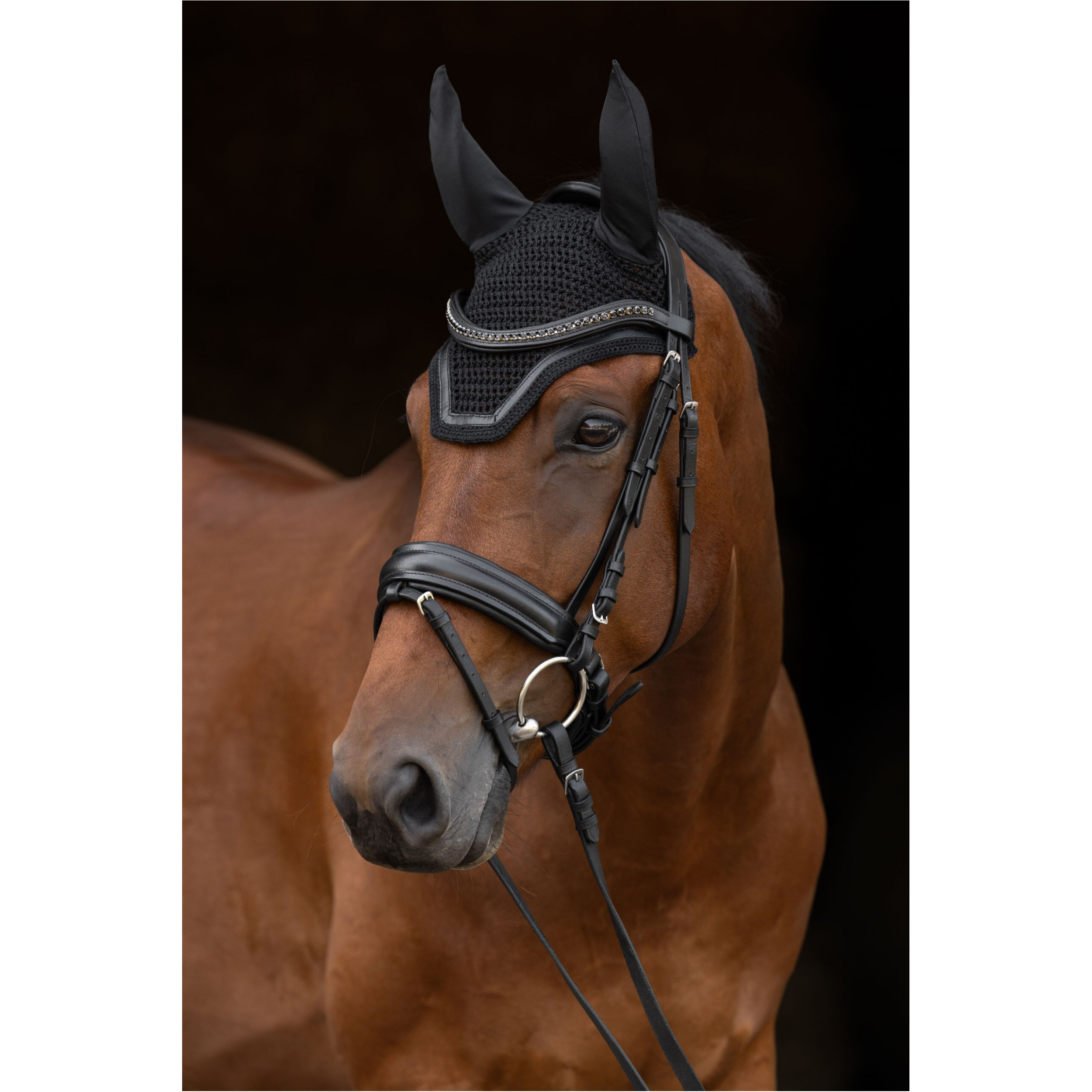 Fliegenhaube LINEA black