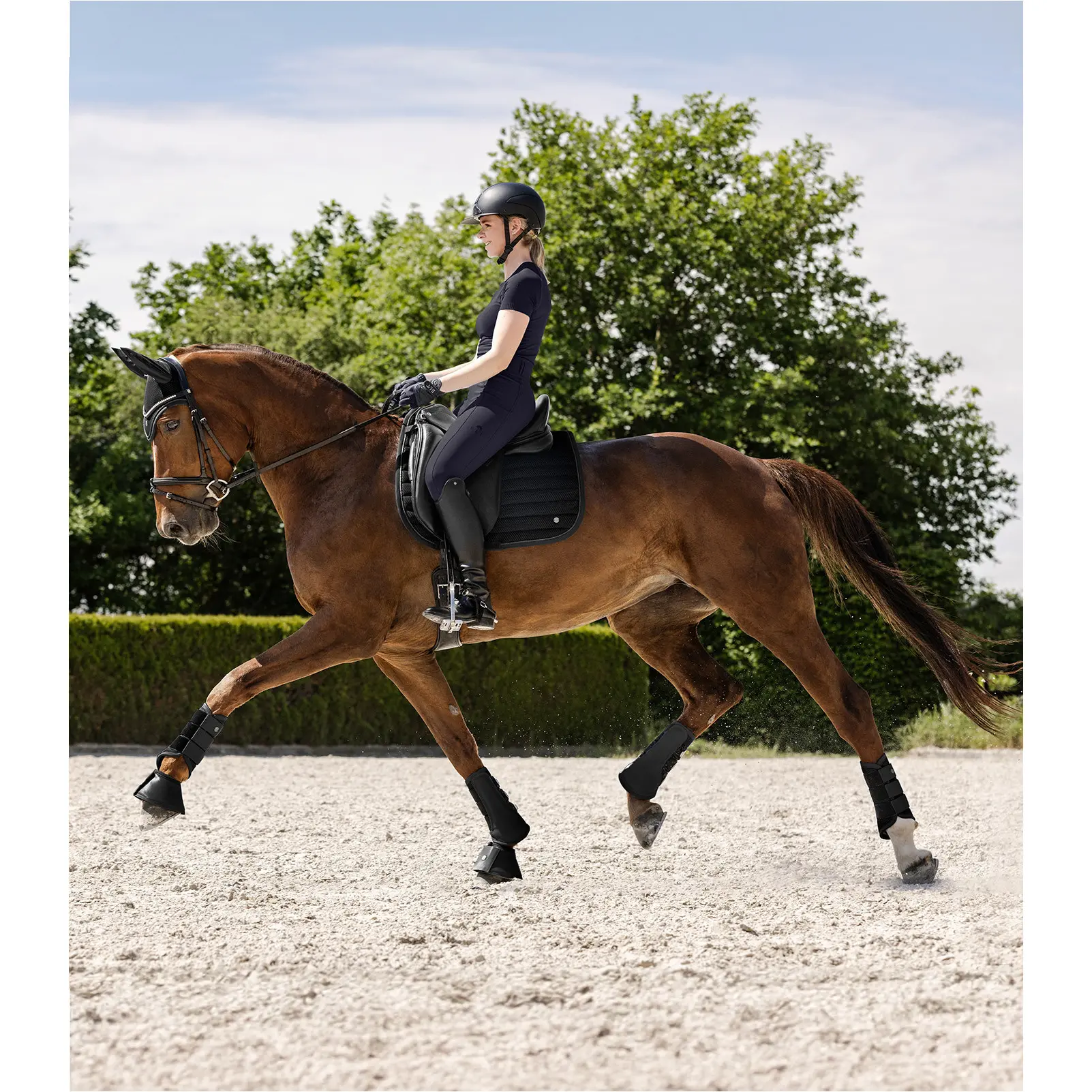Dressurgamaschen RIMINI schwarz