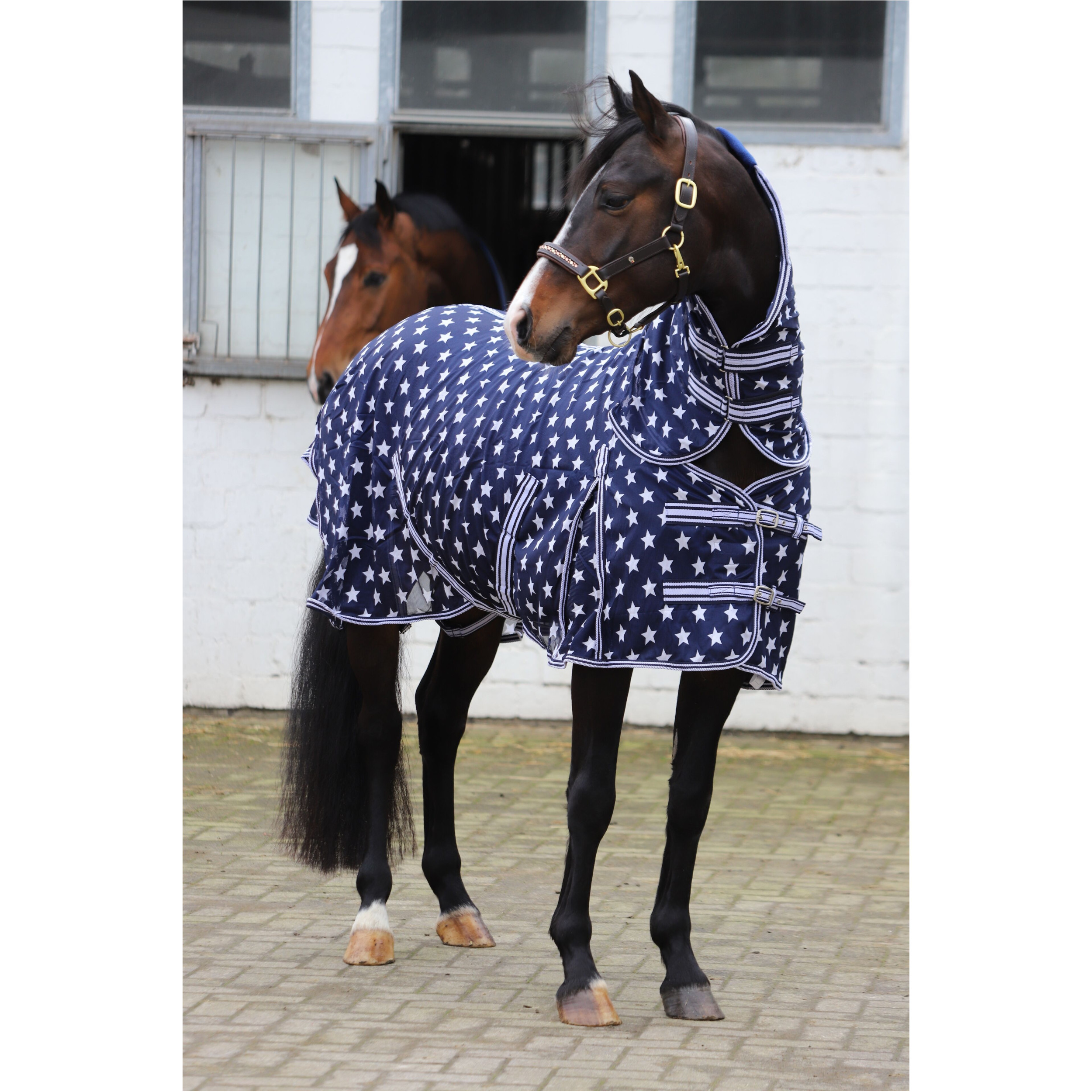 Fliegendecke mit Halsteil und Kreuzgurt DESIGN Star dunkelblau/weiß