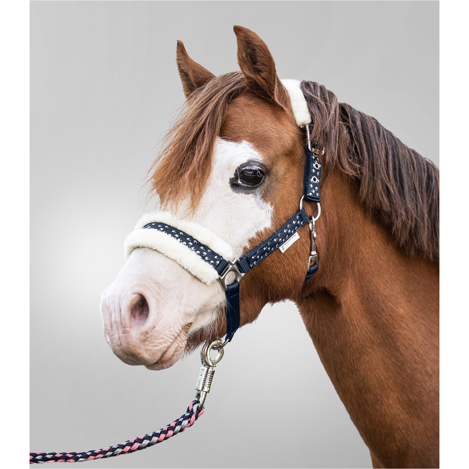 Halfter Set LUCKY nachtblau