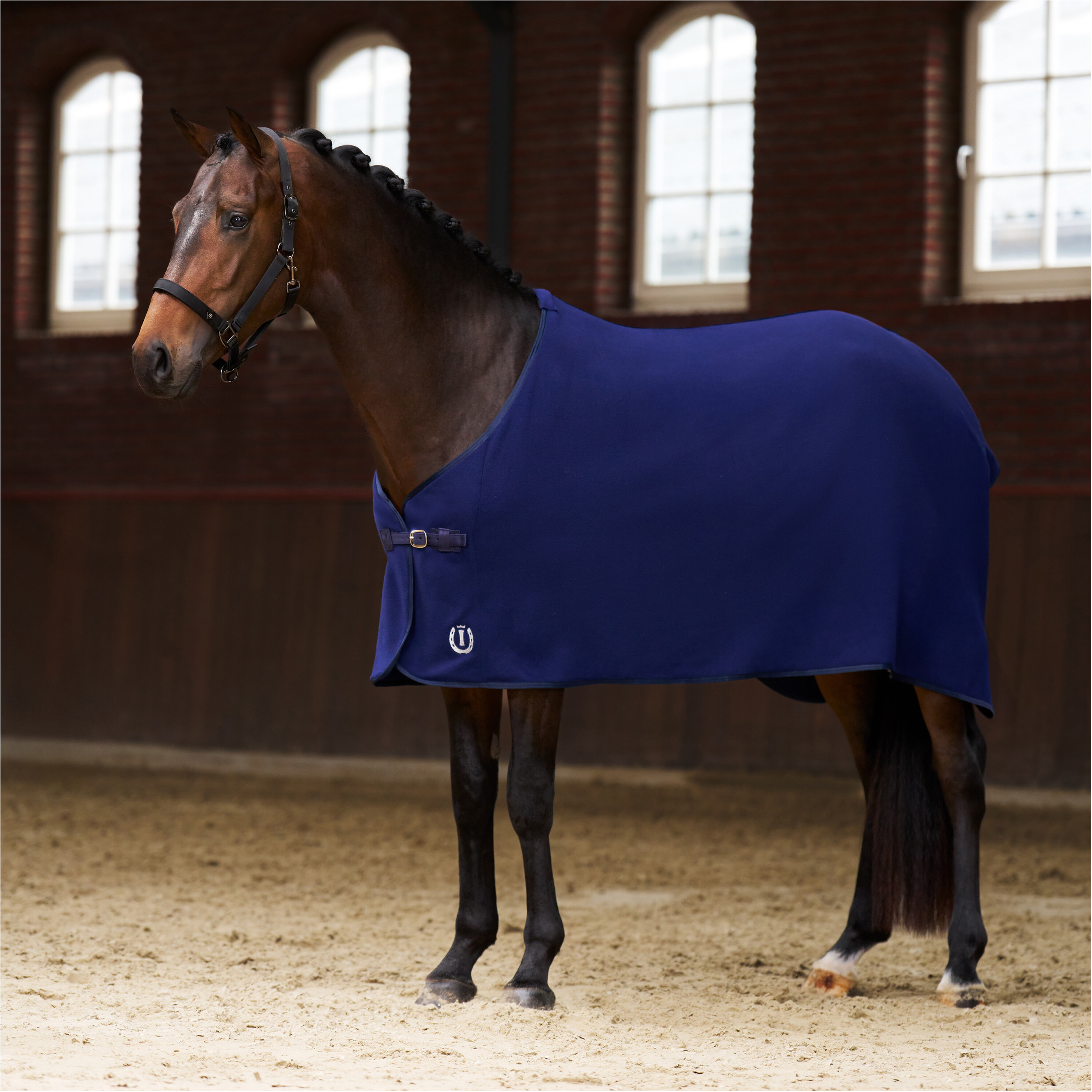 Fleecedecke IRHFundamental BASIC navy Fleecedecke IRHFundamental BASIC navy