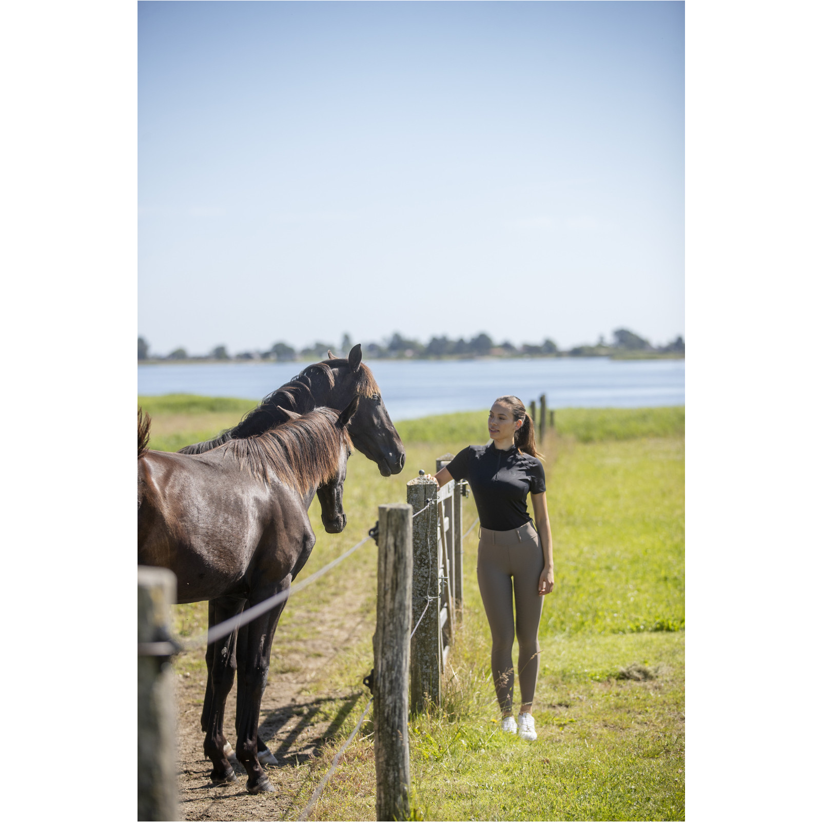 Damen Reitleggings Silikon Vollbesatz RIVER F/G mit Gürtelschlaufen falcon