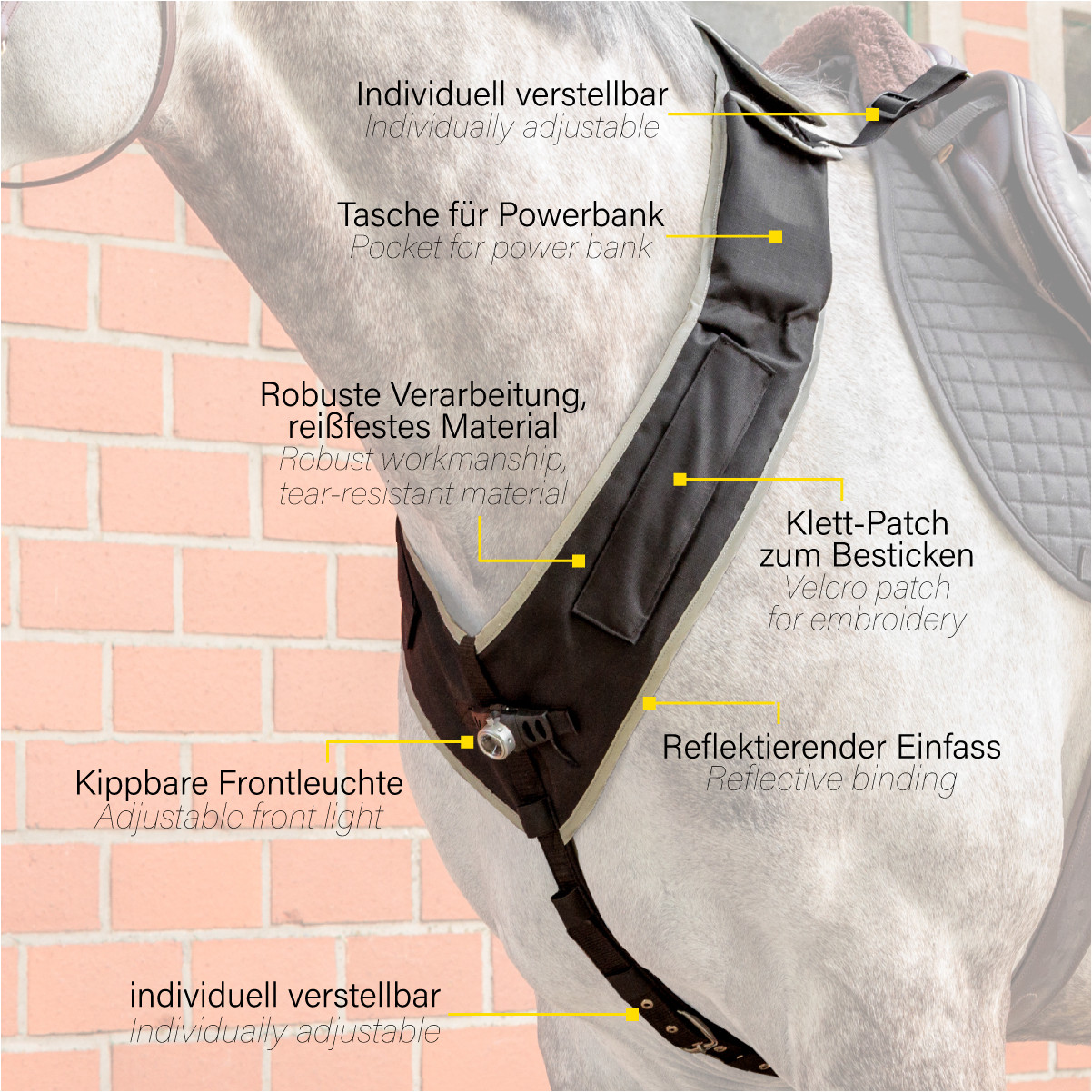 Vorderzeug mit weißer Frontleuchte HORSELIGHT schwarz/grau