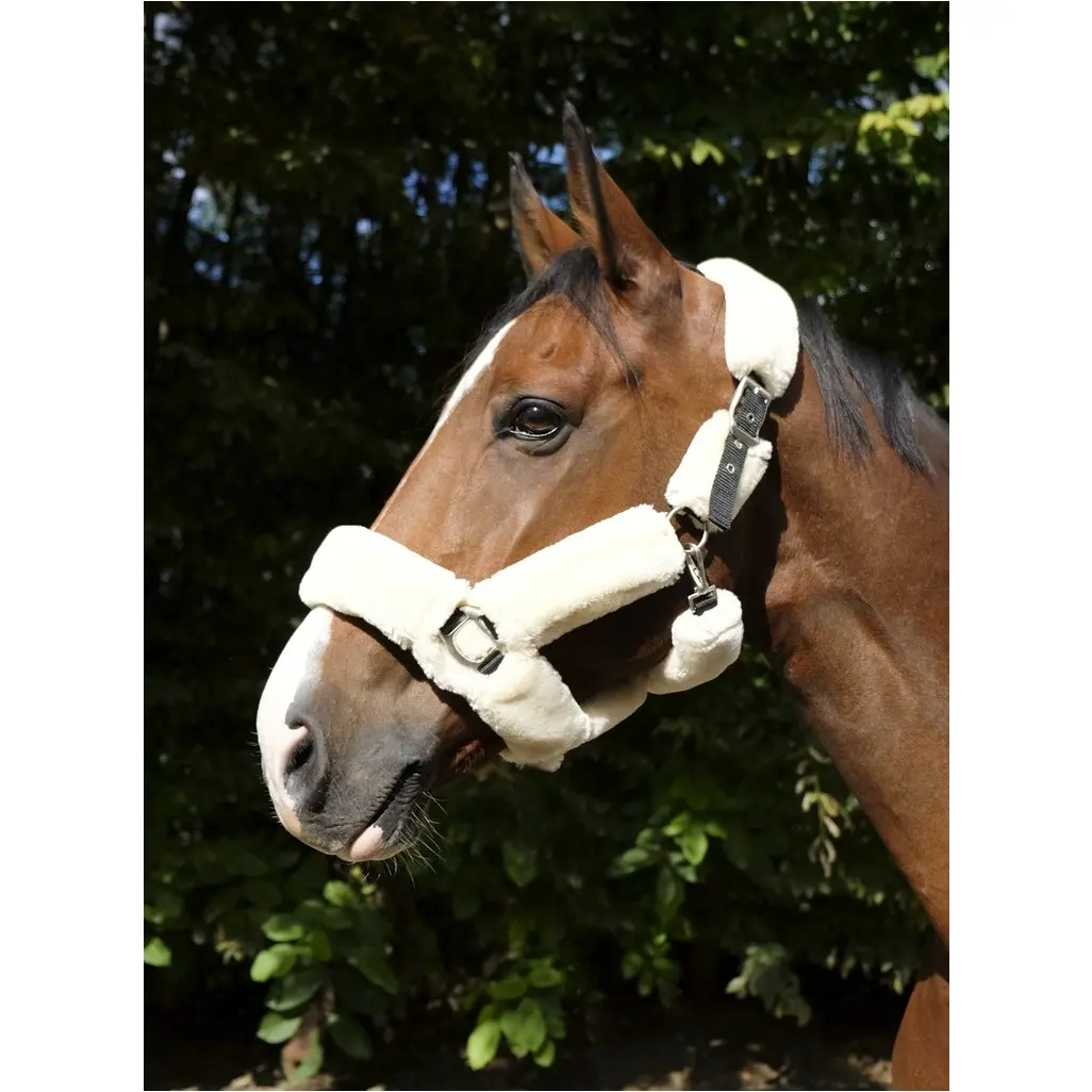 Halfter TEDDY schwarz