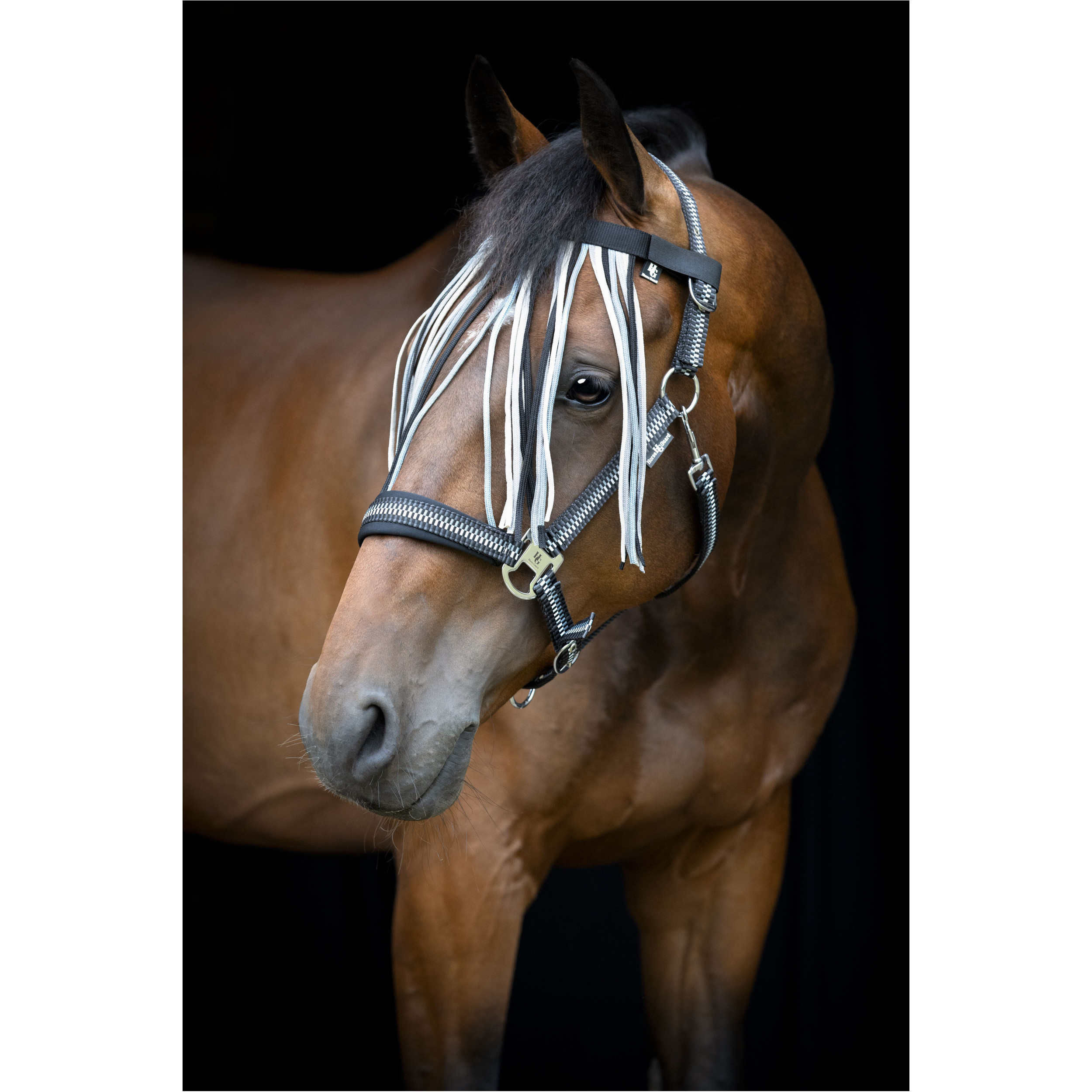 Fliegenfransen COLE asphalt