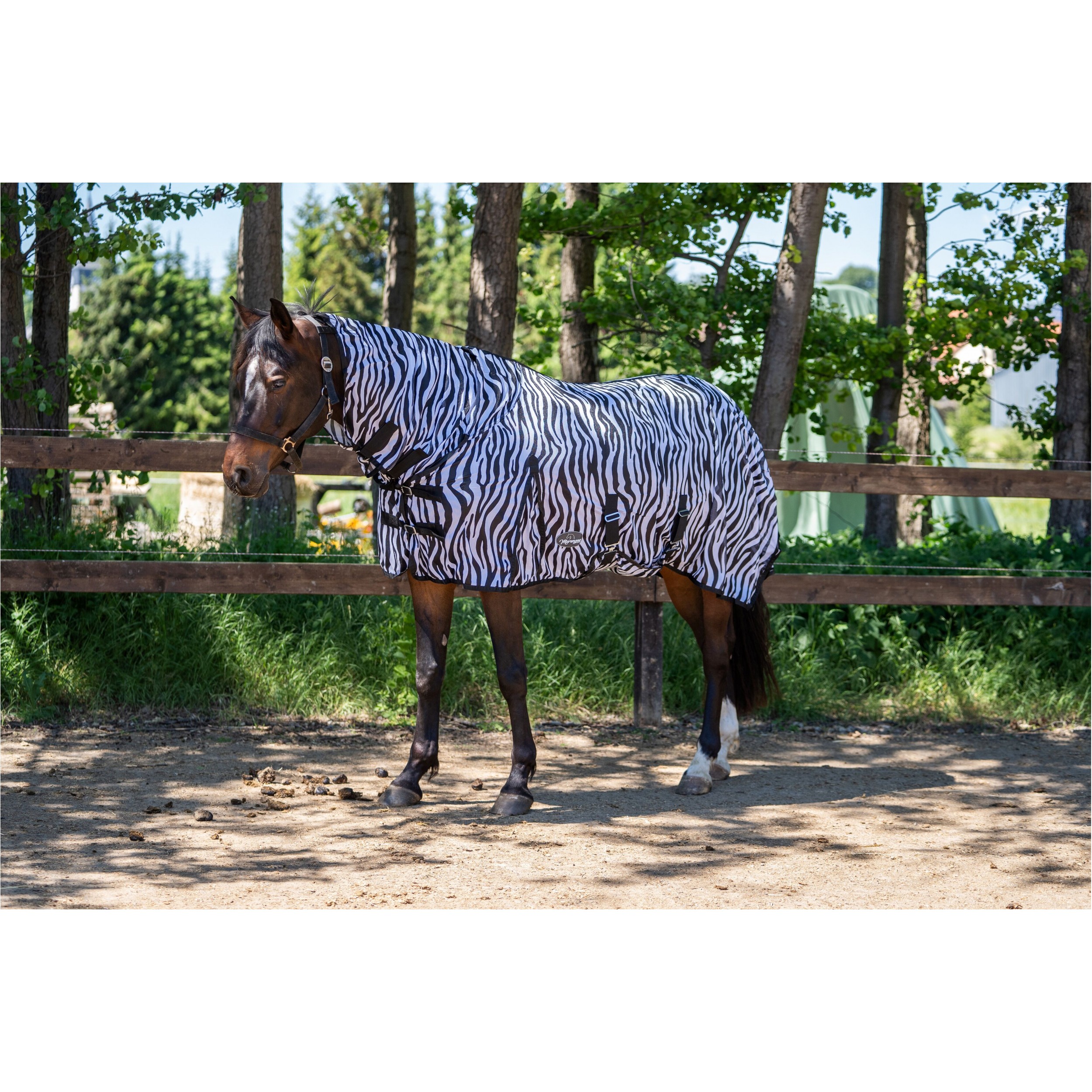 Fliegendecke mit Halsteil und Bauchlatz ZEBRA schwarz/weiß