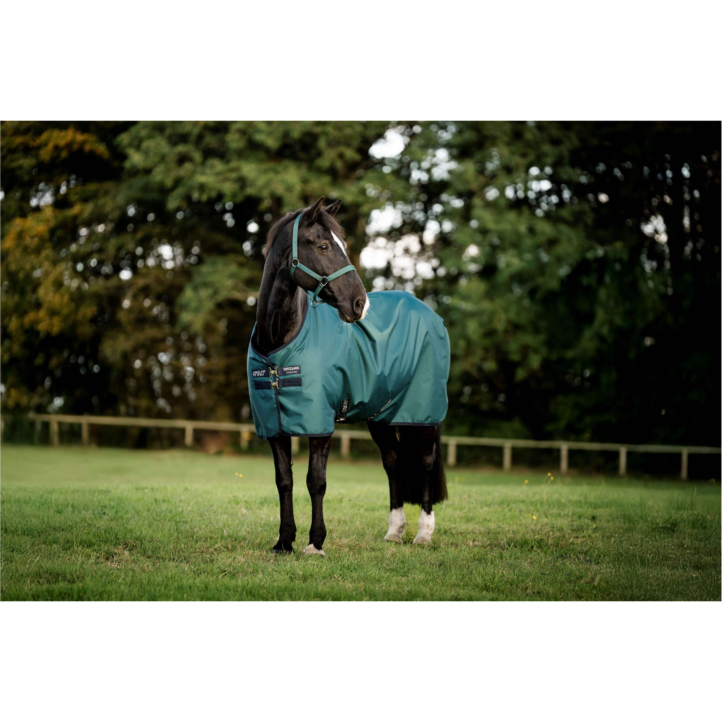 Outdoordecke 50g Füllung 900D mit Fleecefutter AMIGO Ripstop Turnout dynasty green/navy/silver