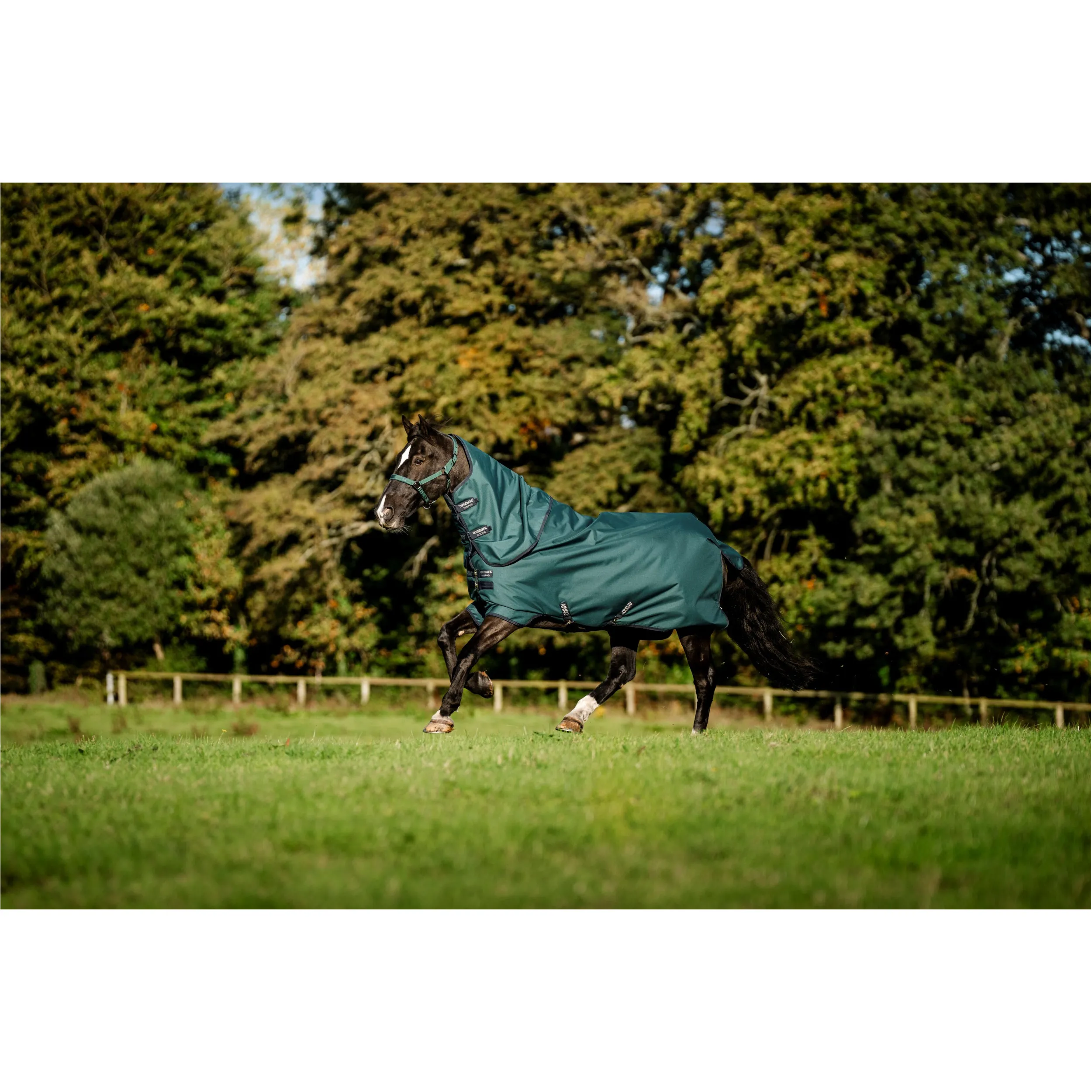 Outdoordecke Halsteil (abnehmbar) 100g Füllung 900D AMIGO Ripstop Plus Turnout dynasty green/navy/silver