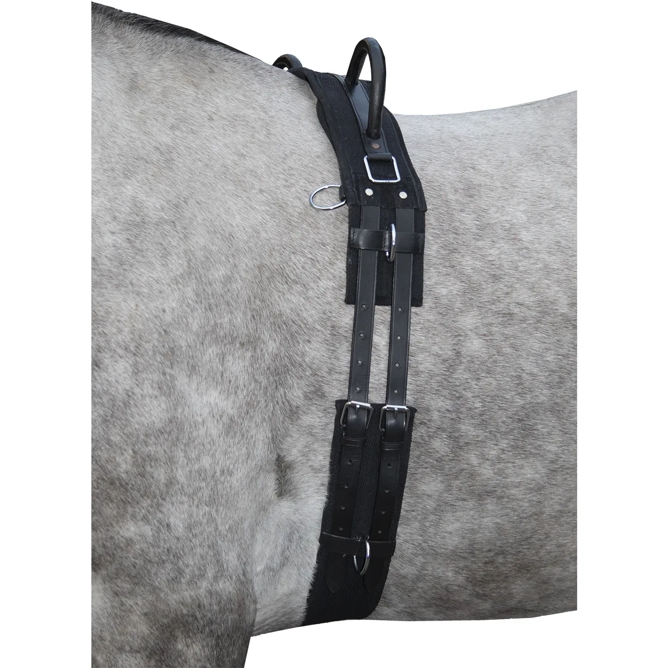 Longiergurt mit Doppelgriff CANVAS schwarz