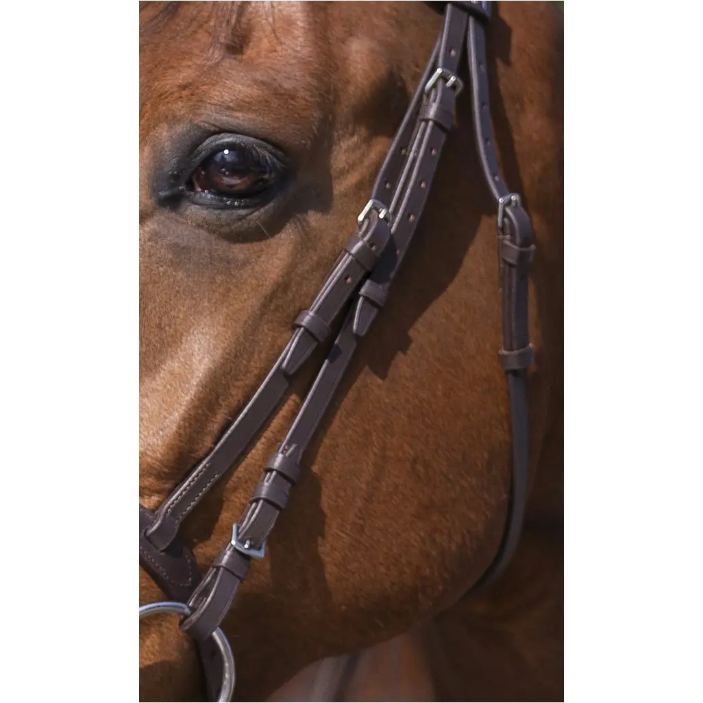 Trensenzaum mit kombiniertem Reithalfter havana