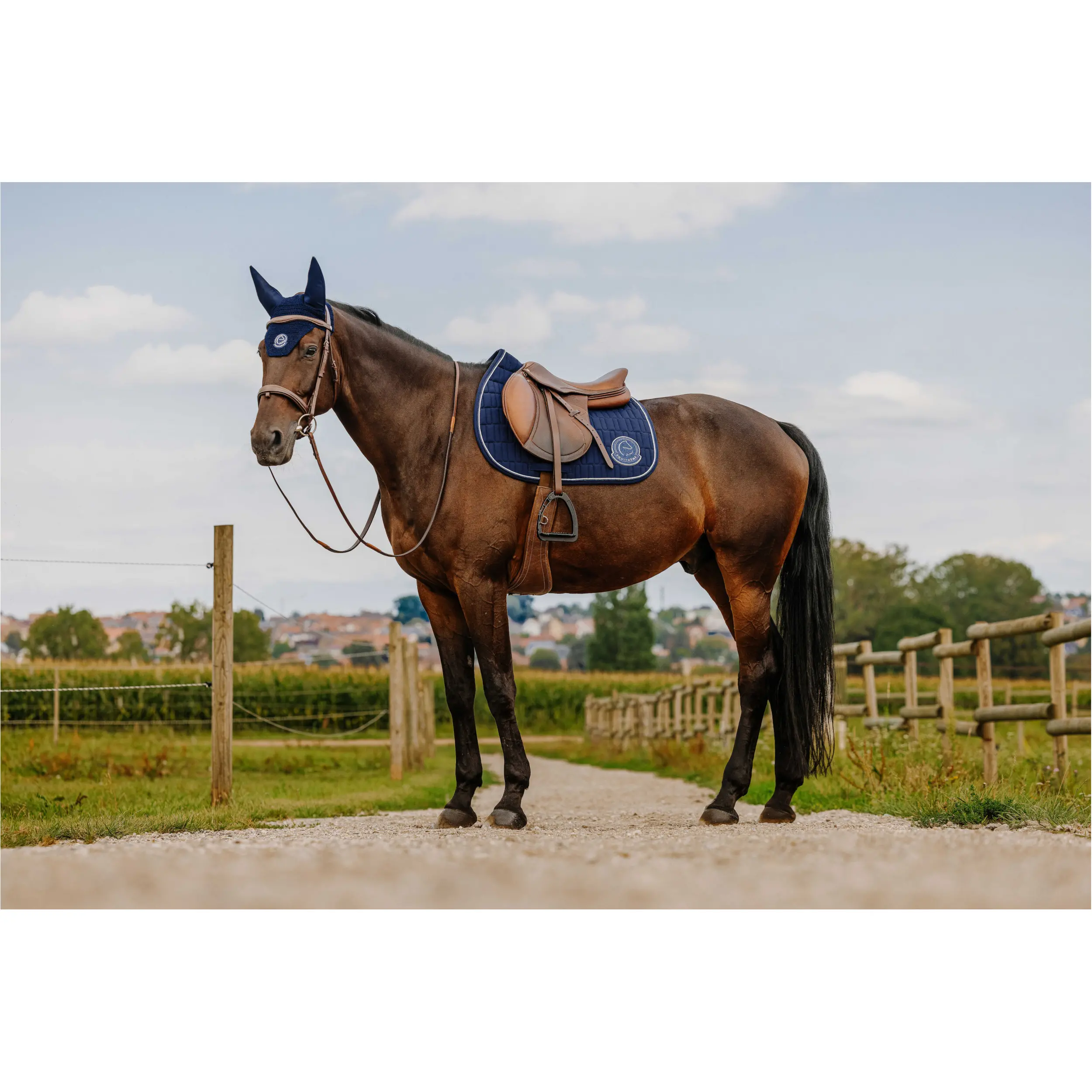 Schabracke mit Nummernhalter Je t'aime COMPET blau Warmblut Vielseitigkeit Schabracke mit Nummernhalter Je t'aime COMPET blau Warmblut Vielseitigkeit