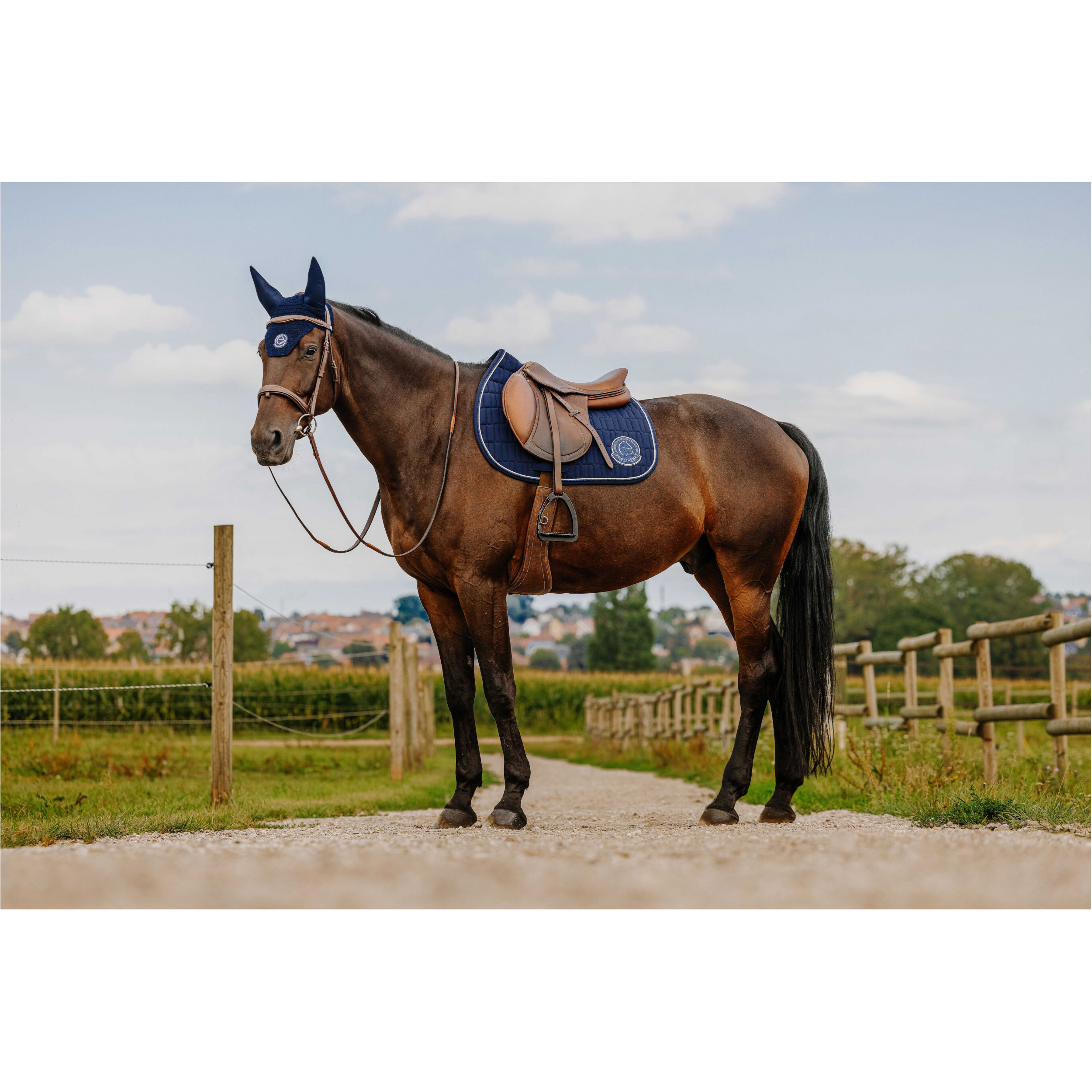 Schabracke mit Nummernhalter Je t'aime COMPET blau Warmblut Vielseitigkeit