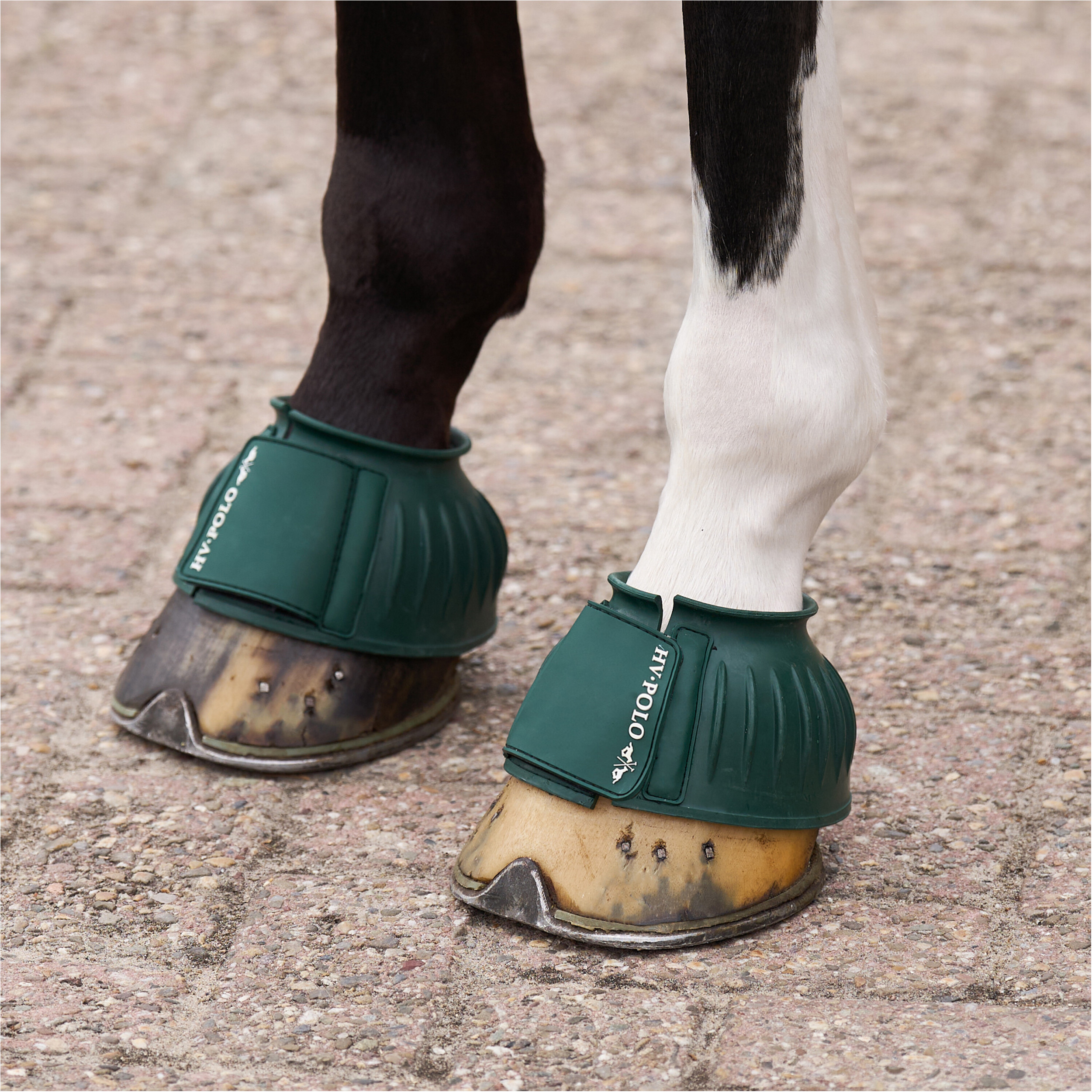 Hufglocken HVPEssential greenery